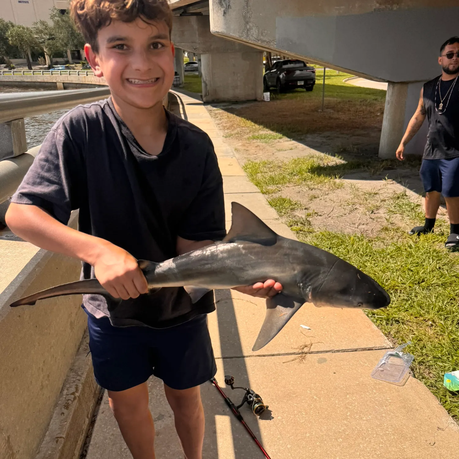 Blacktip shark caught on Fishbrain