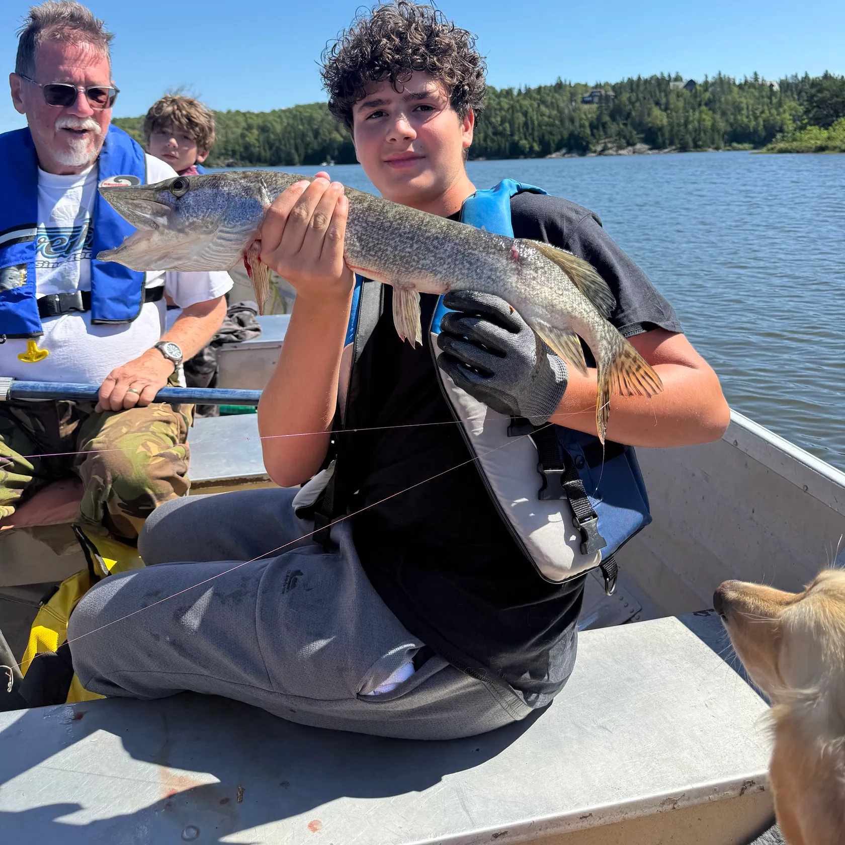 Northern pike caught on Fishbrain