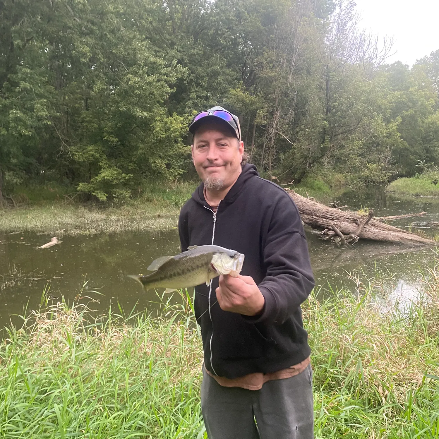 Largemouth bass caught on Fishbrain