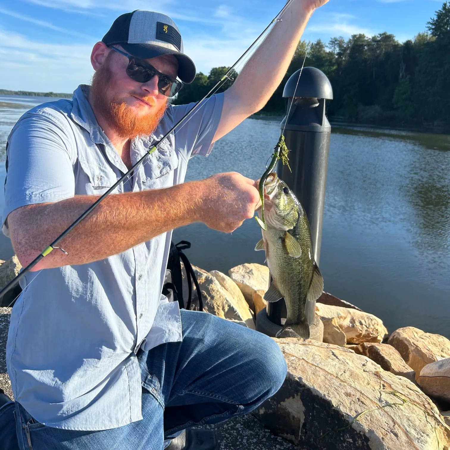 Largemouth bass caught on Fishbrain