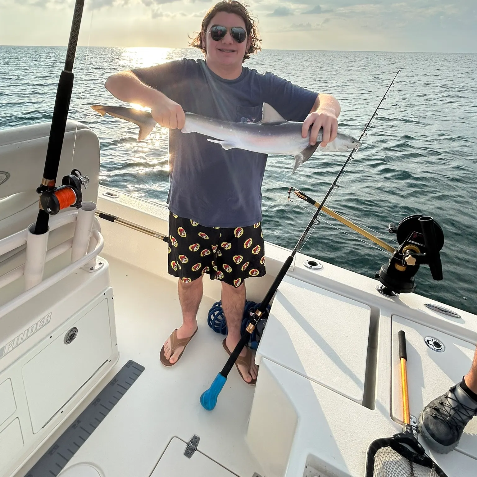 The most recent Atlantic sharpnose shark catches on Fishbrain