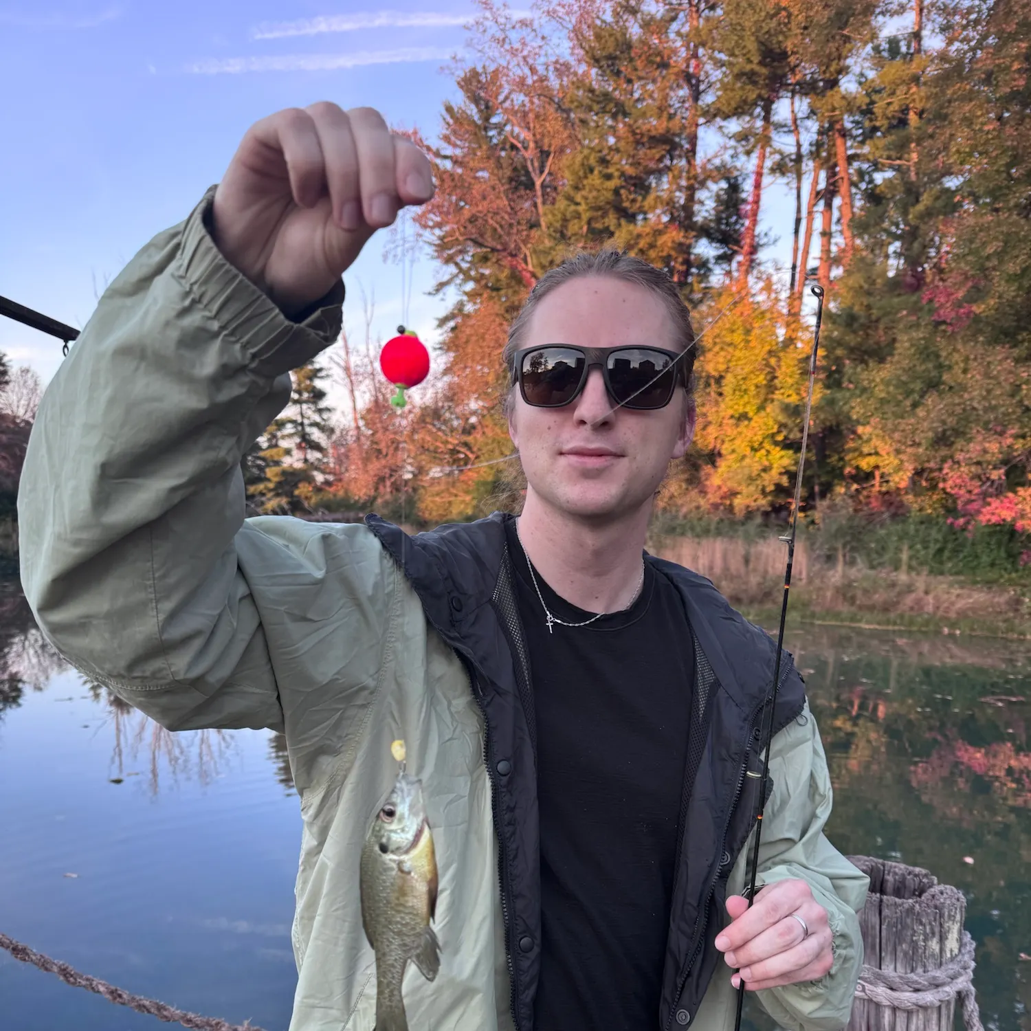 Bluegill caught on Fishbrain