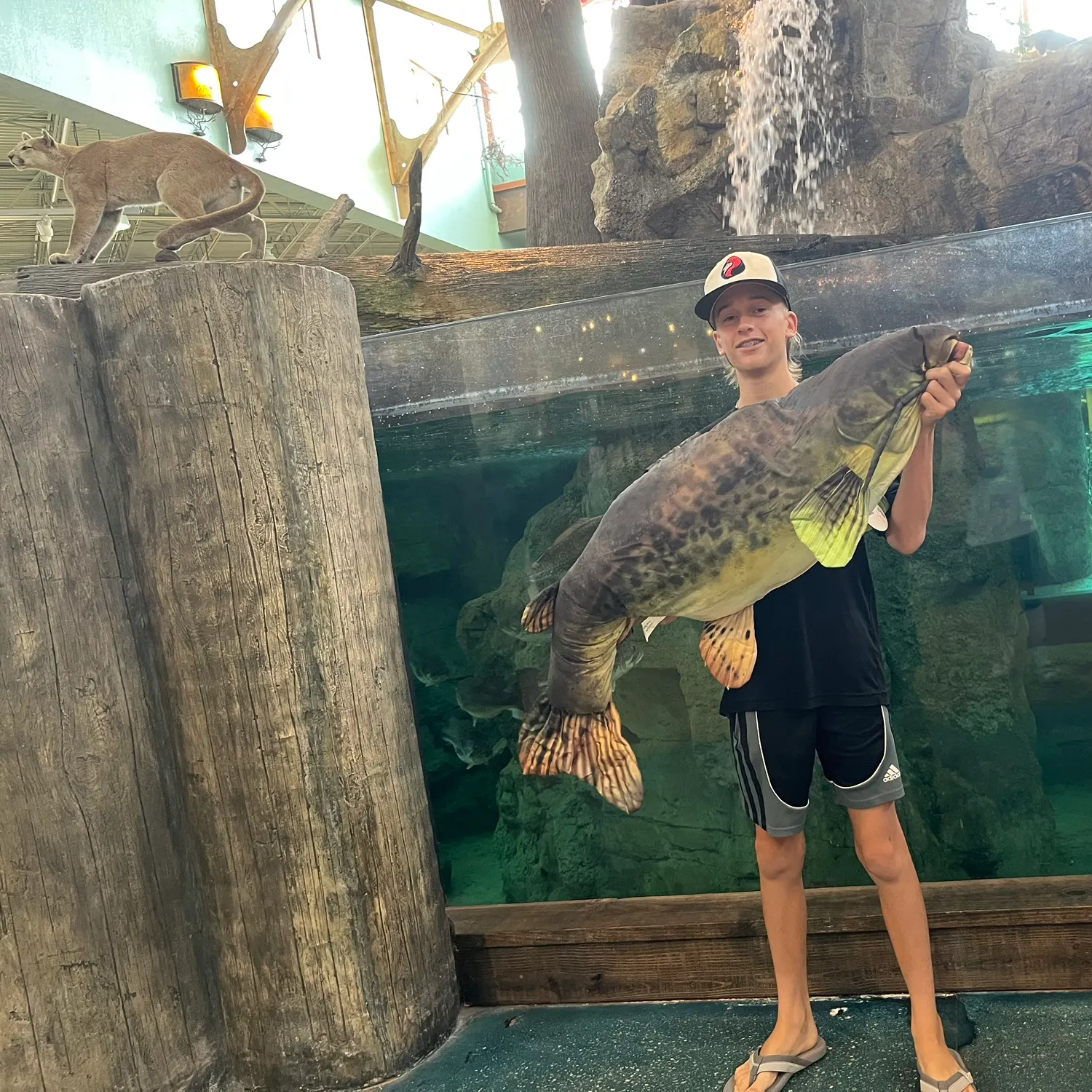 most liked catch image