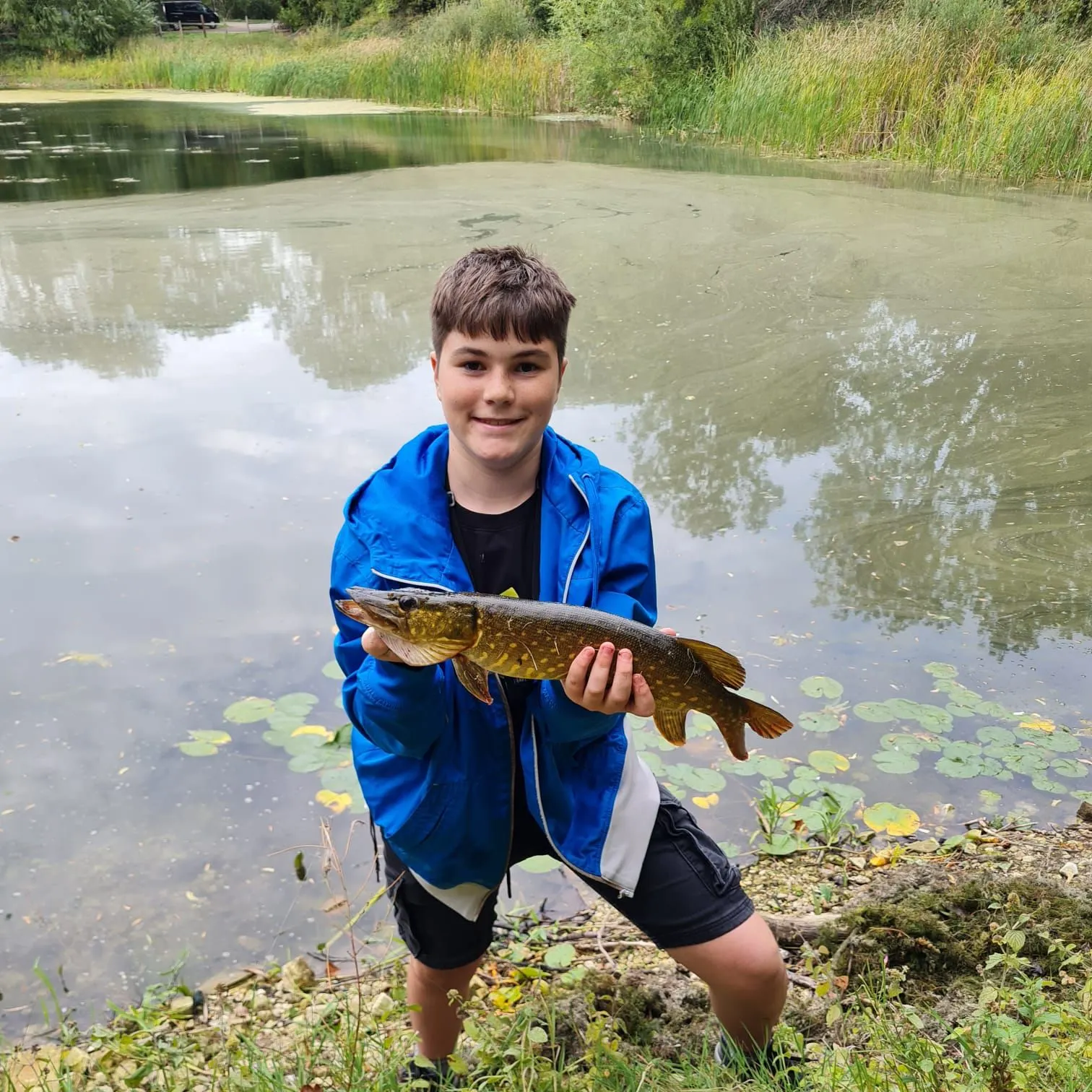 Northern pike caught on Fishbrain