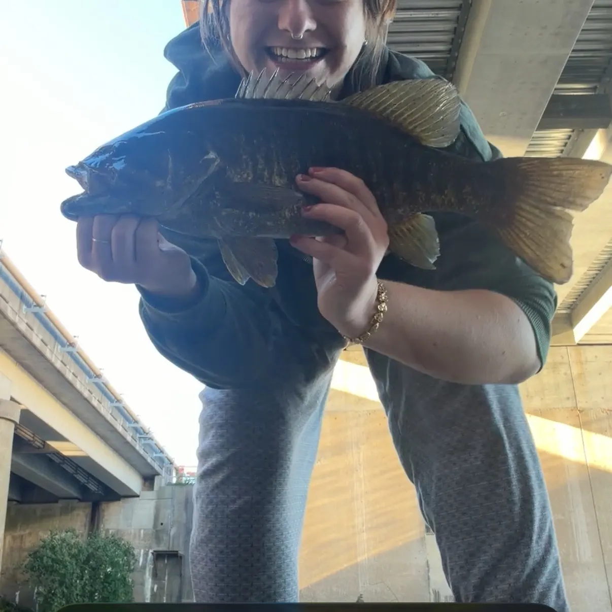 Smallmouth bass caught on Fishbrain