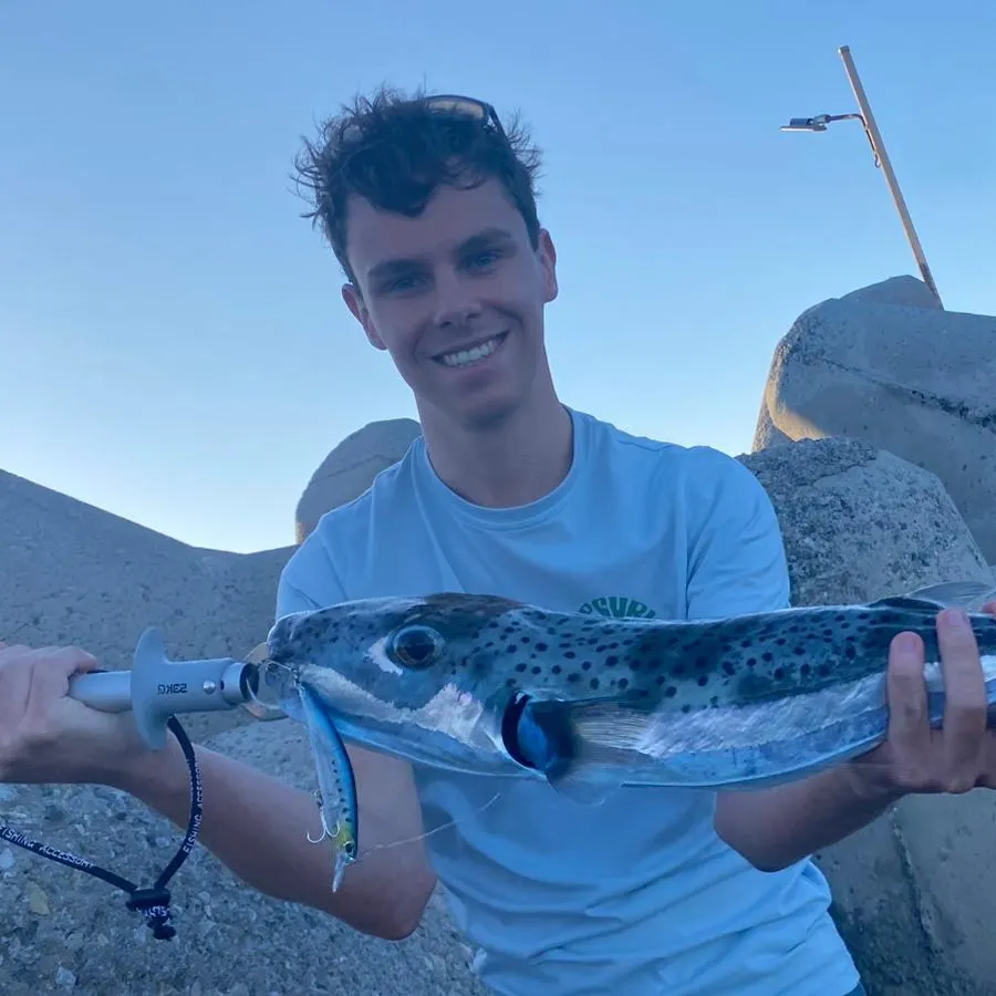 The most recent Suez puffer catches on Fishbrain