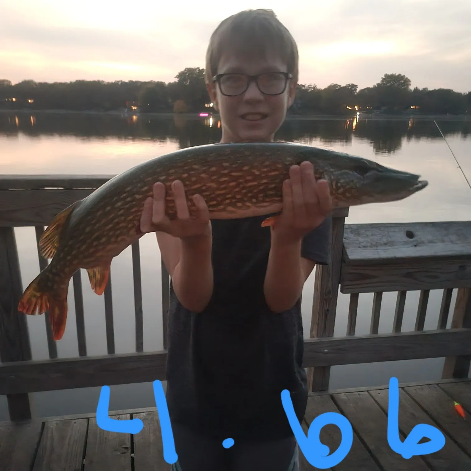 Northern pike caught on Fishbrain