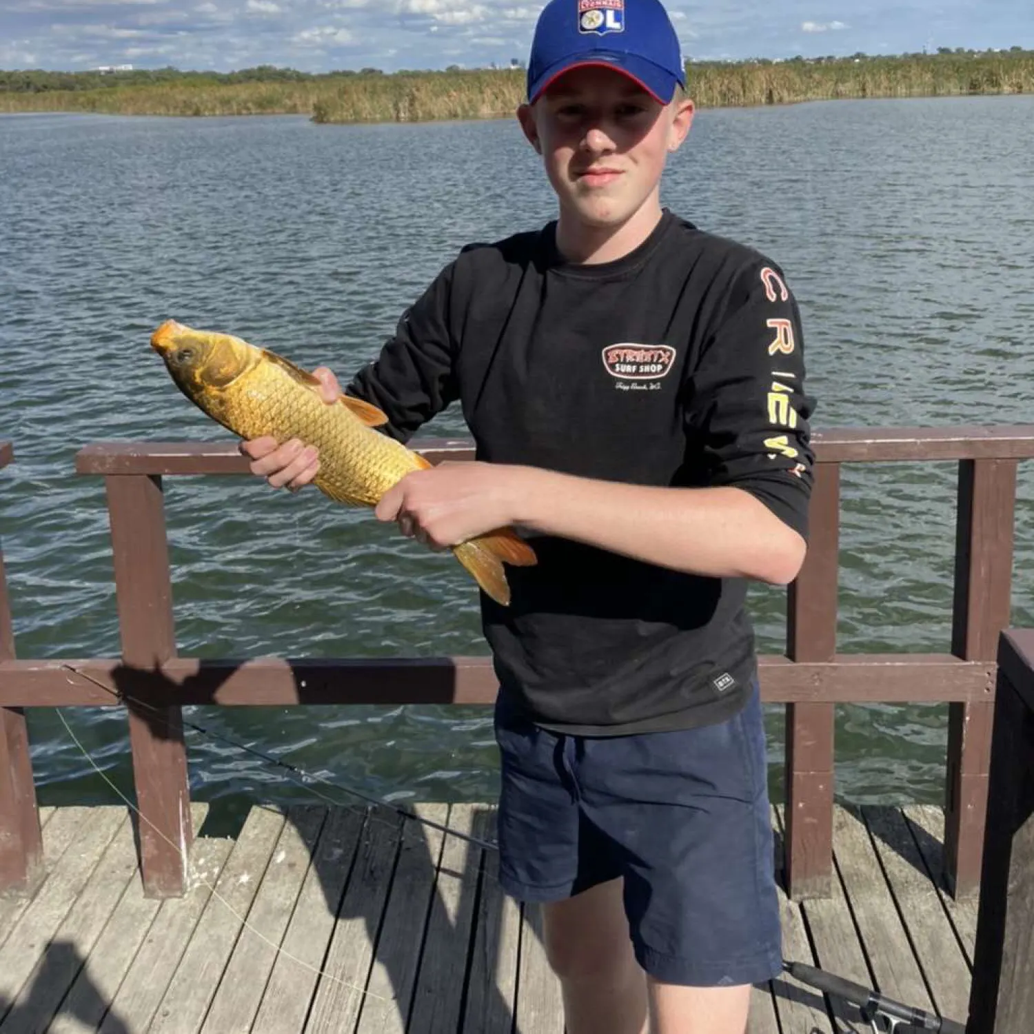 Common carp caught on Fishbrain