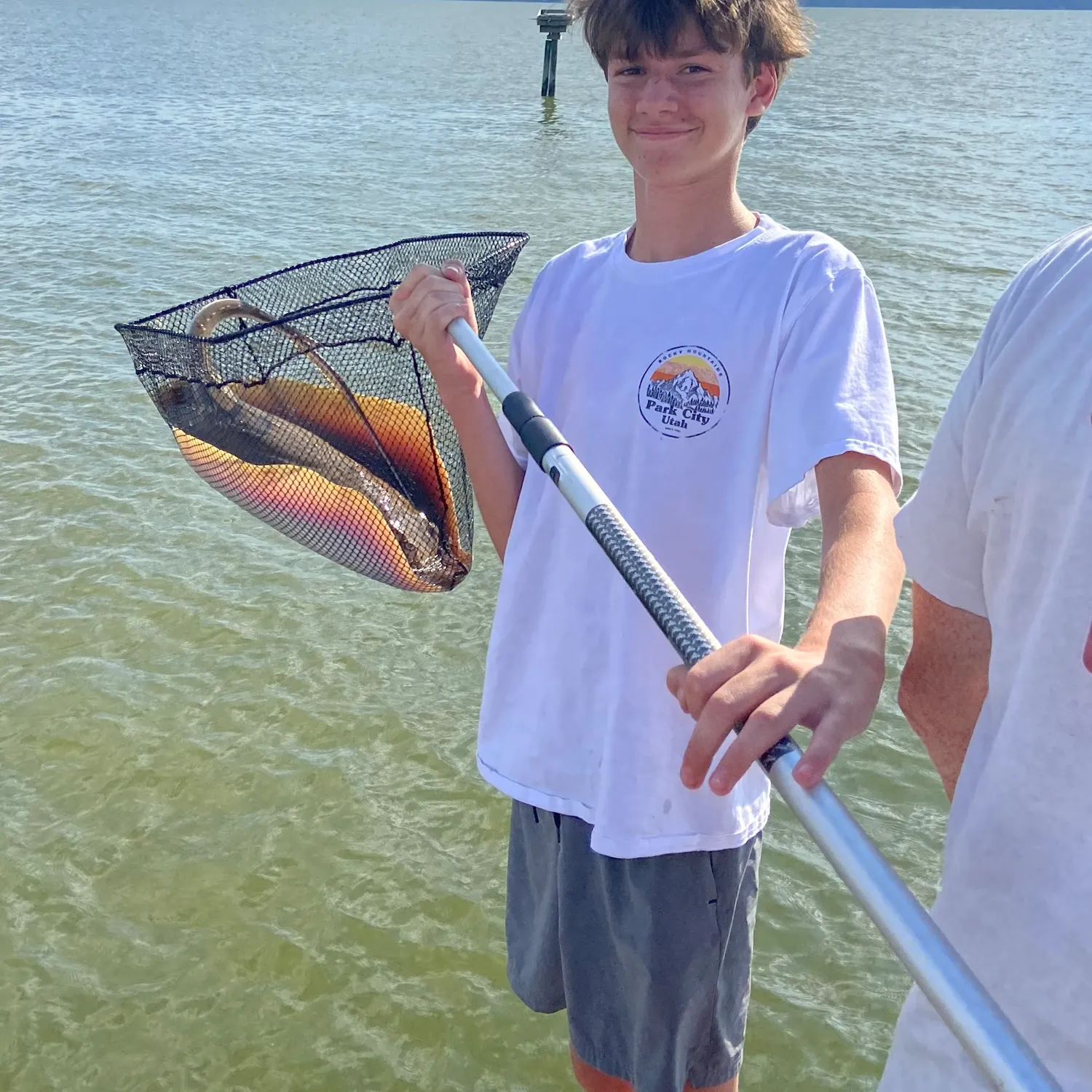 The most recent Cownose Ray catches on Fishbrain
