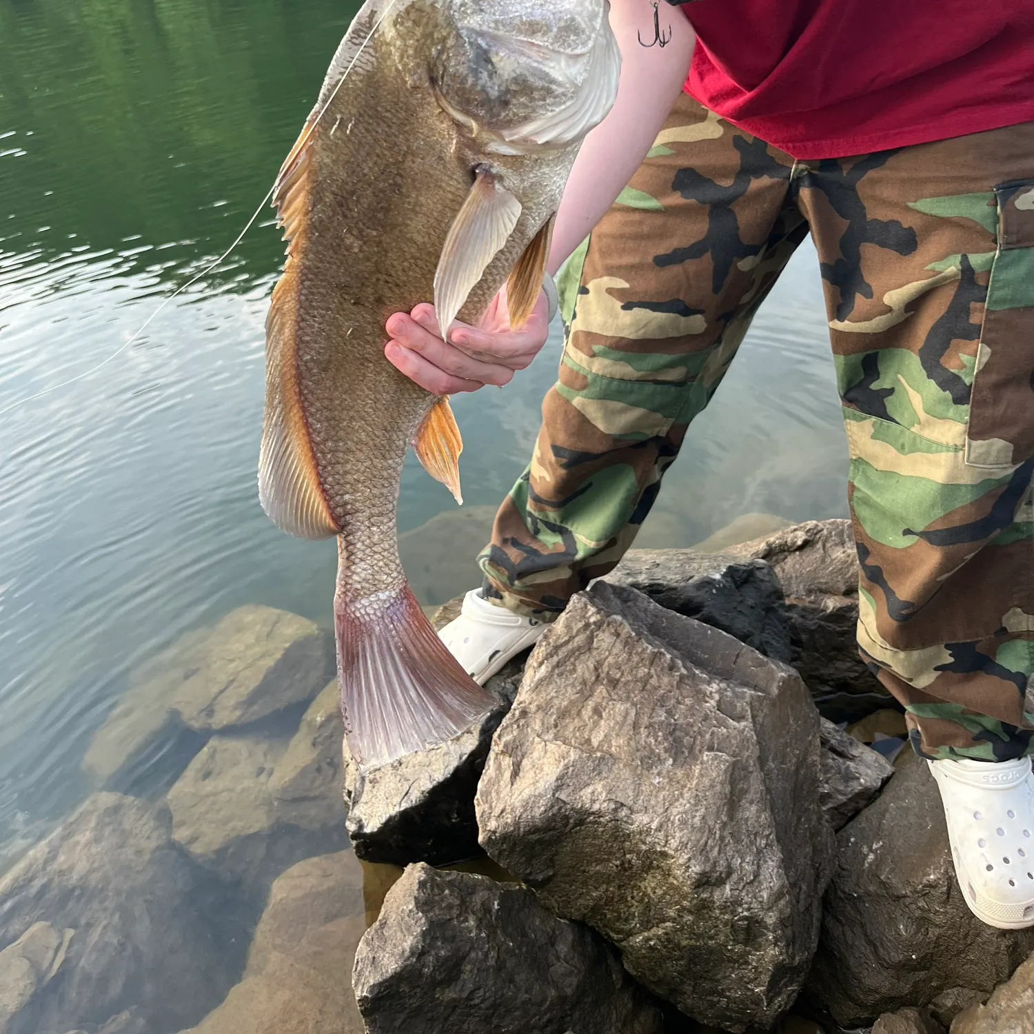 recently logged catches