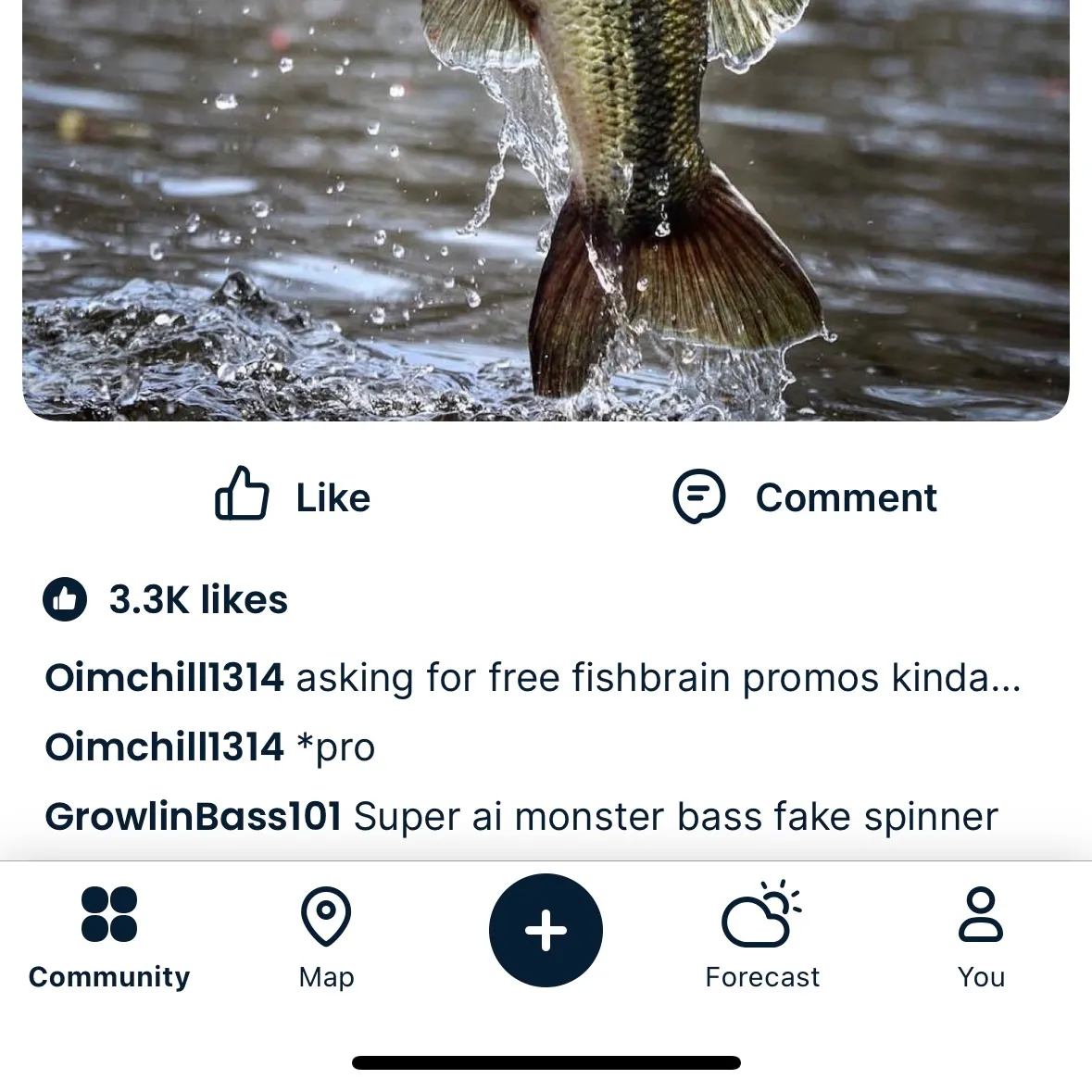 recently logged catches