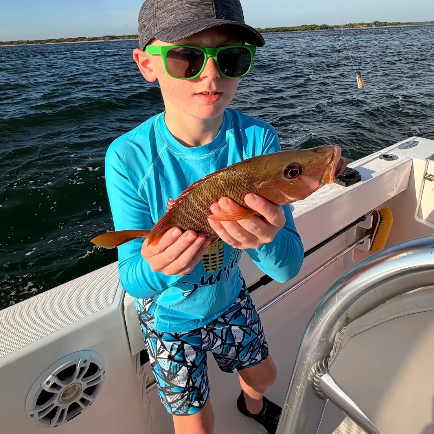 Mangrove snapper caught on Fishbrain