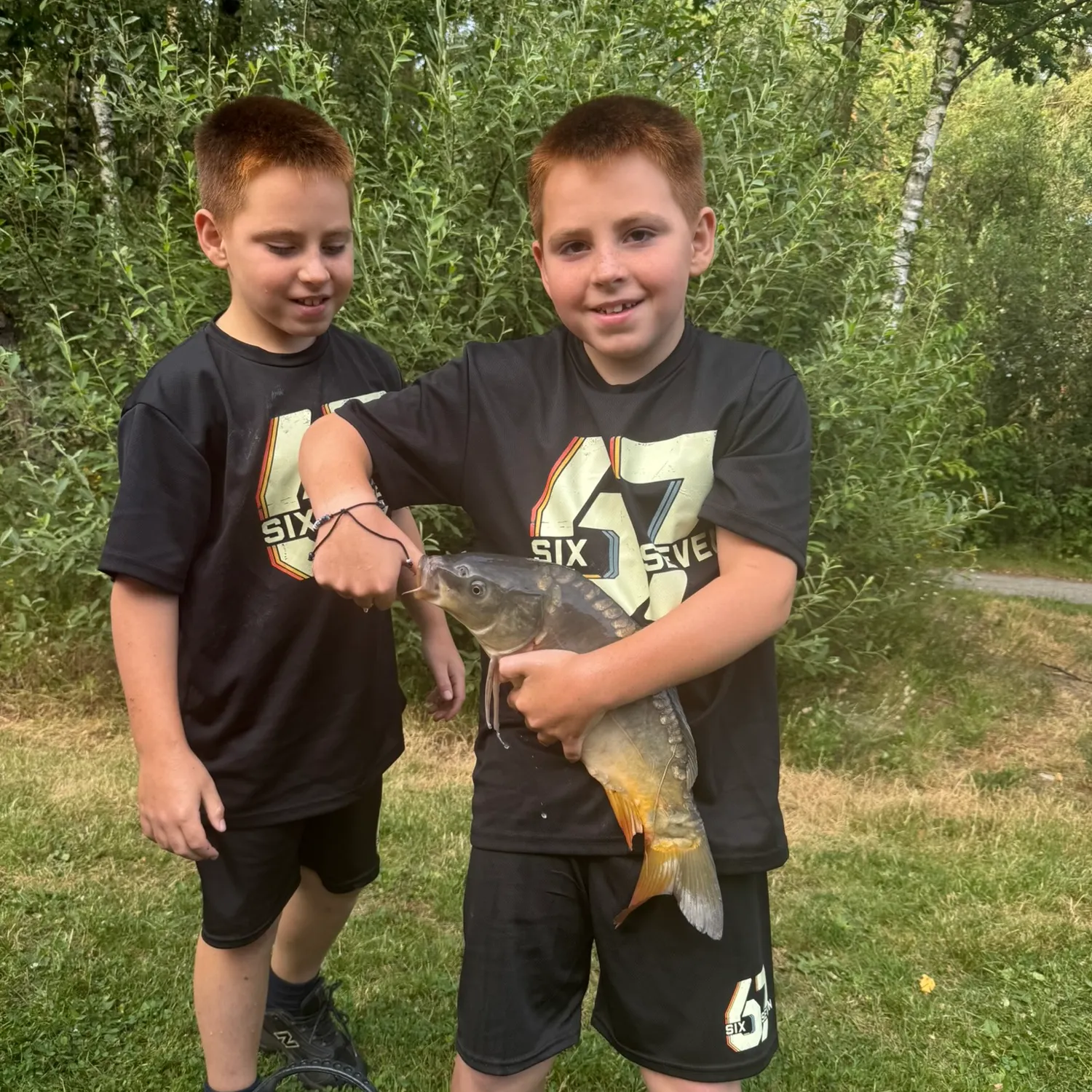 Common carp caught on Fishbrain