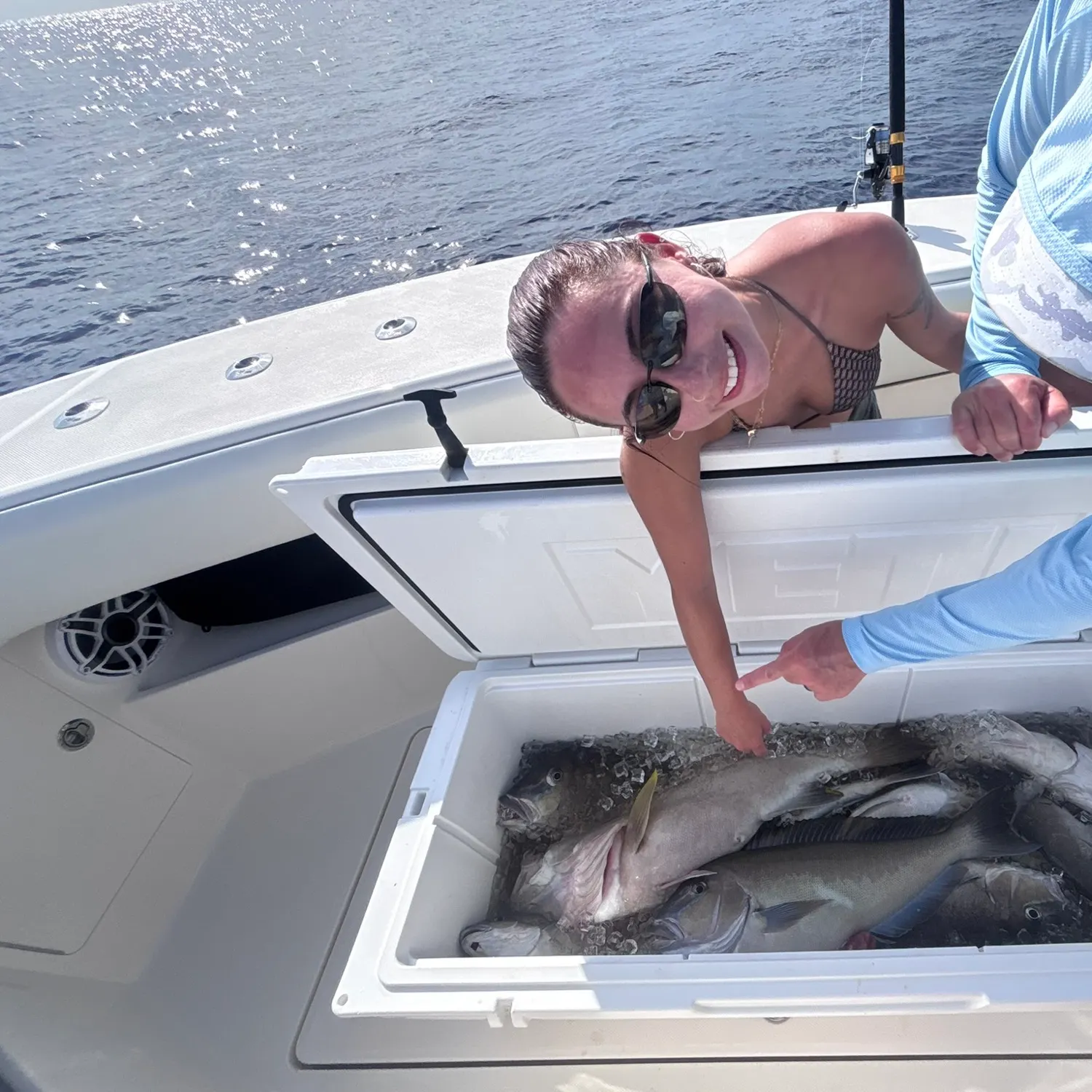 The most recent Grey tilefish catches on Fishbrain