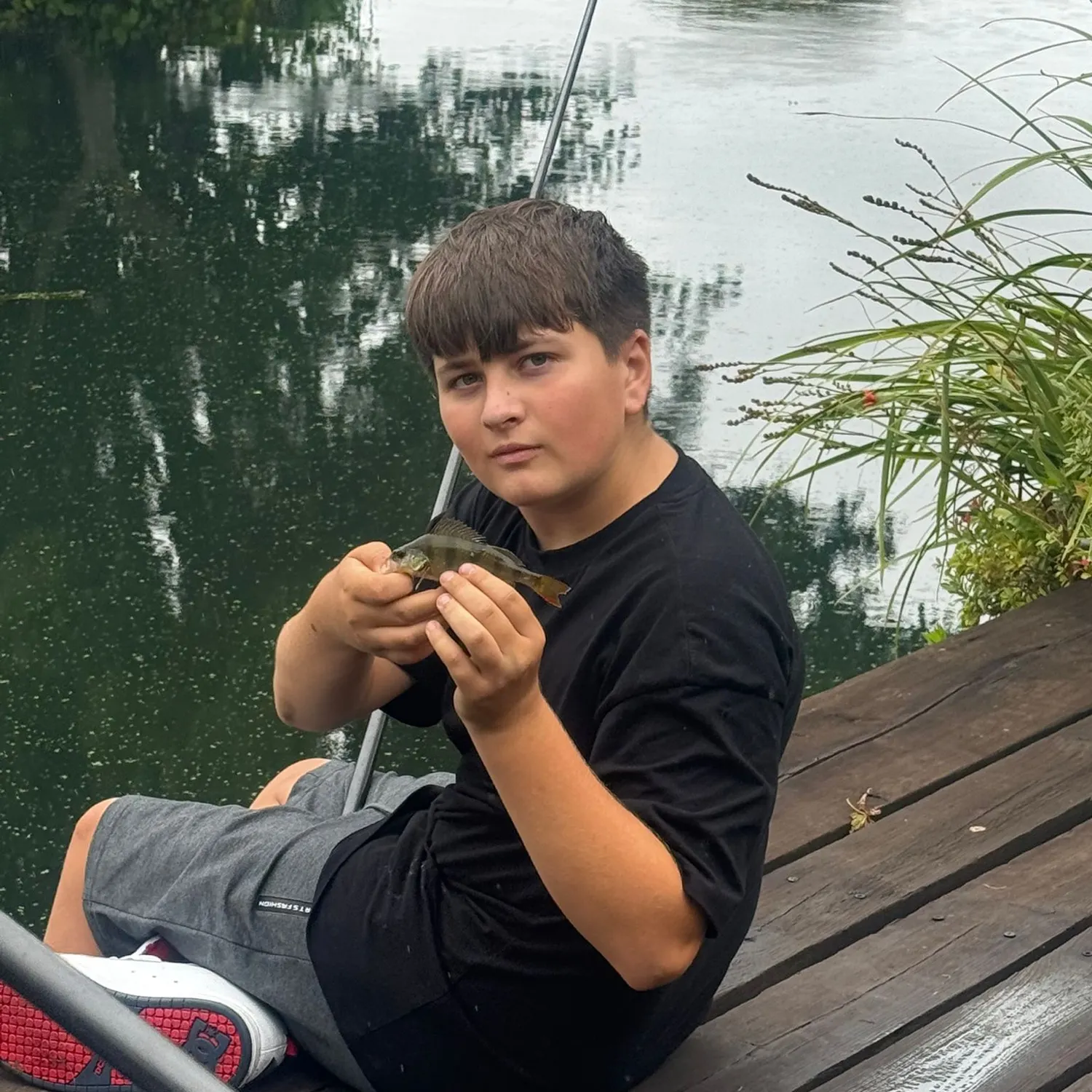 European perch caught on Fishbrain