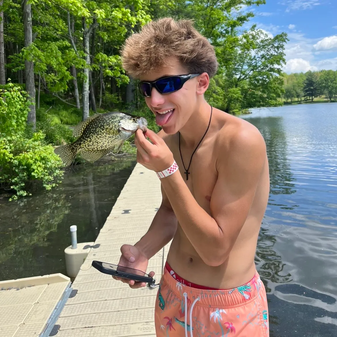 recently logged catches