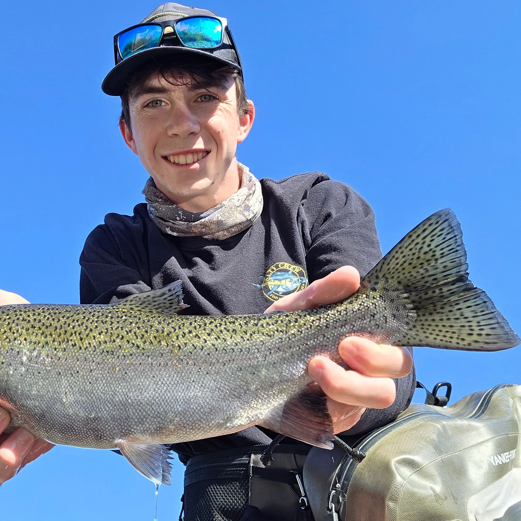 Steelhead caught on Fishbrain