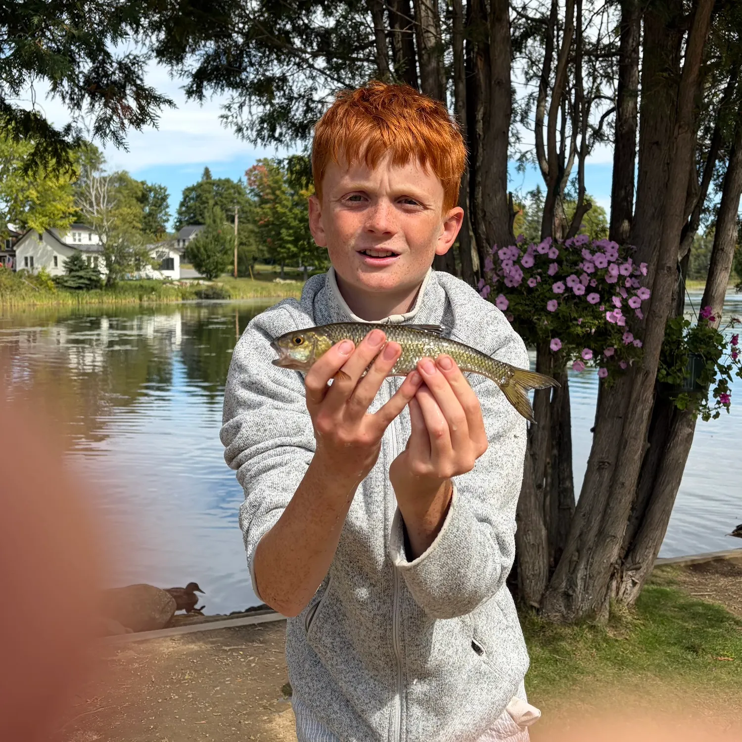 Fish caught on Fishbrain