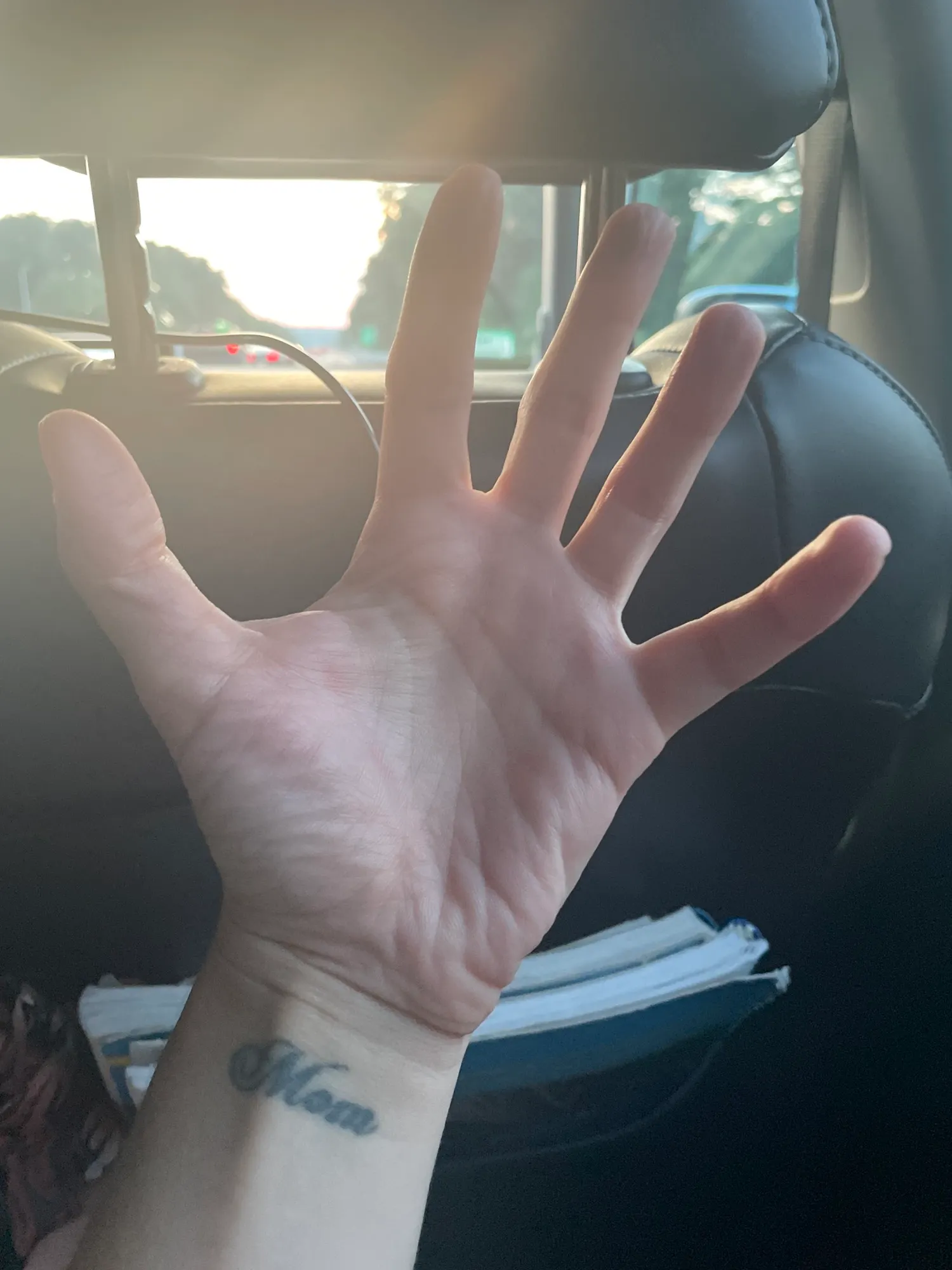 Cara's Hands