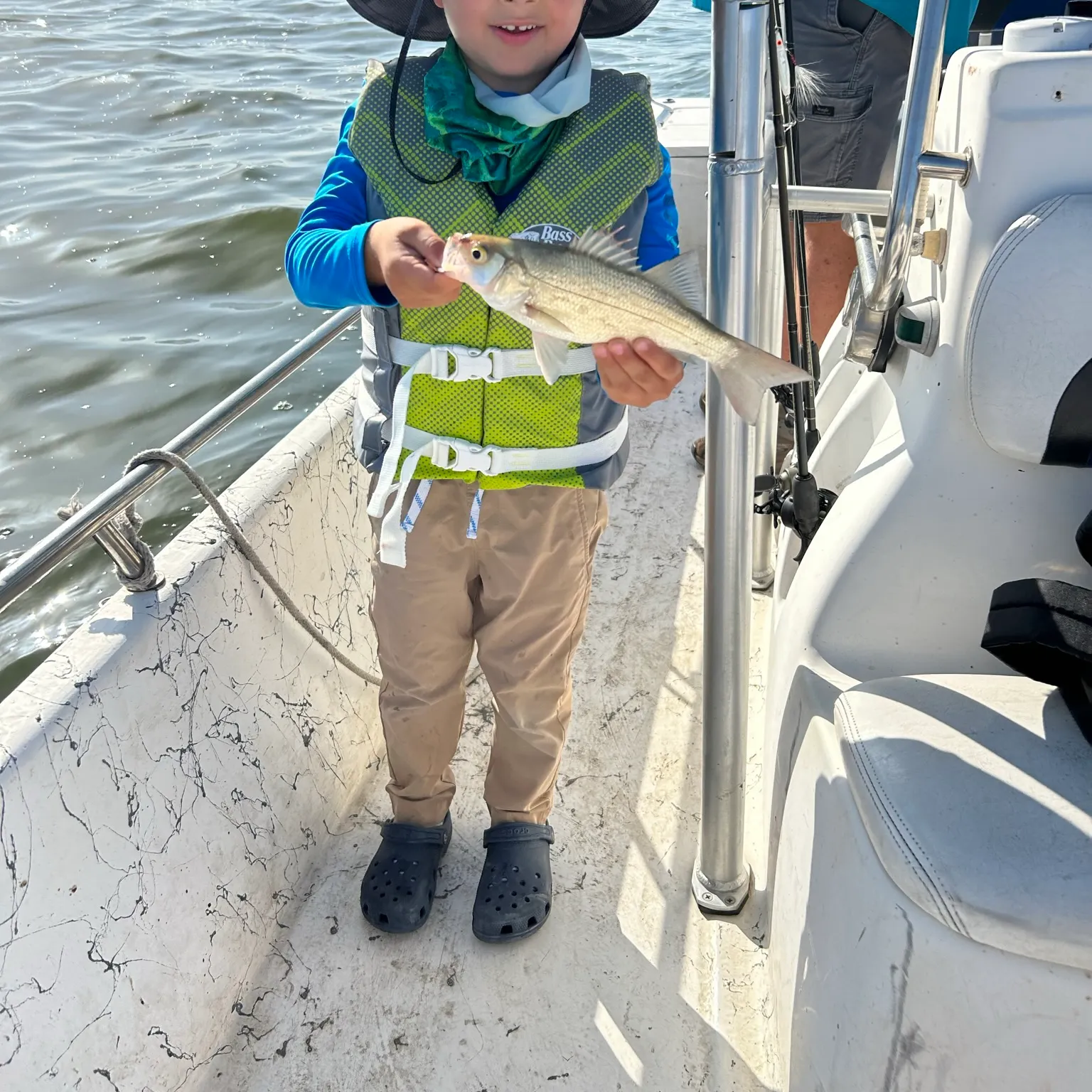 The most recent White bass catches on Fishbrain