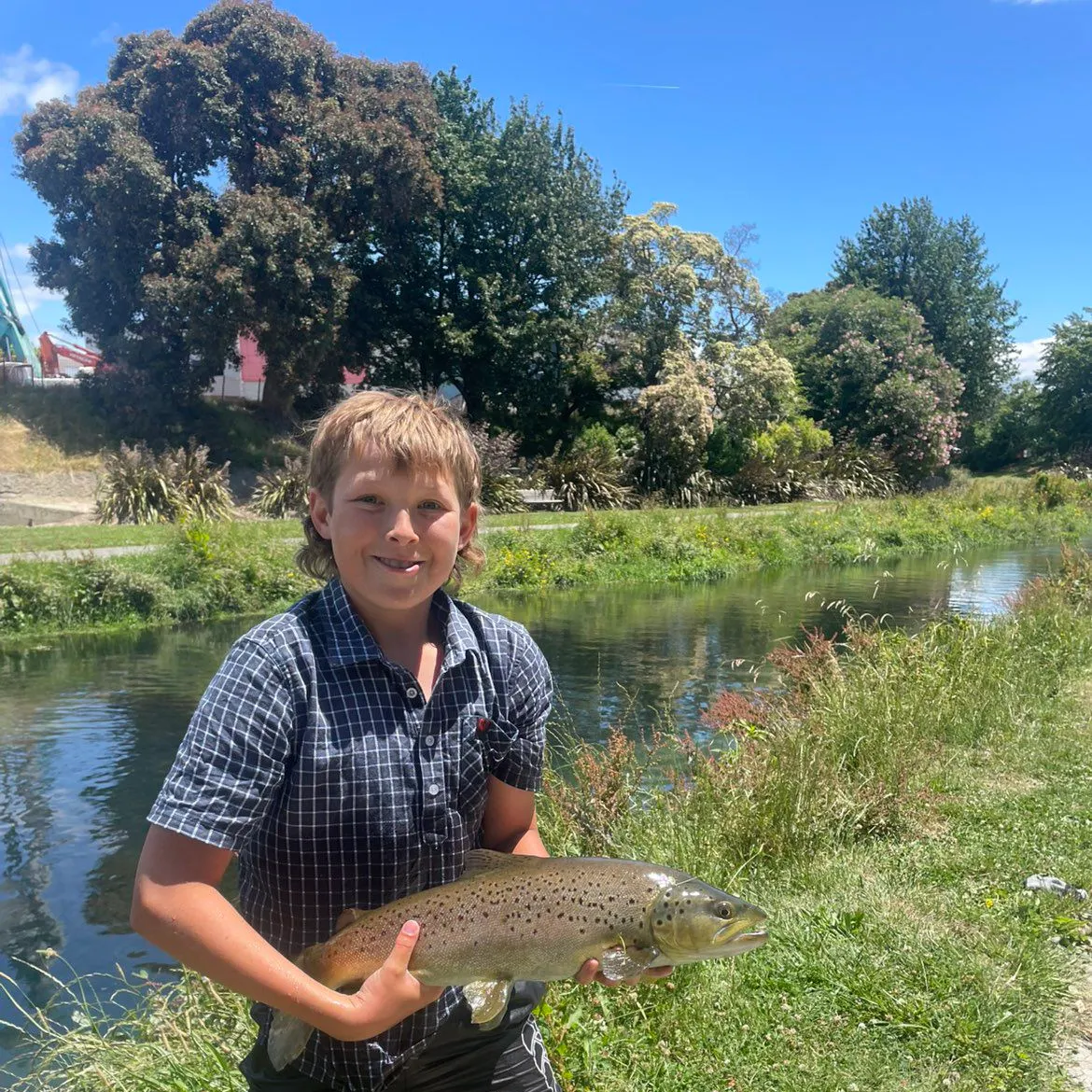 The most recent Brown trout catches on Fishbrain