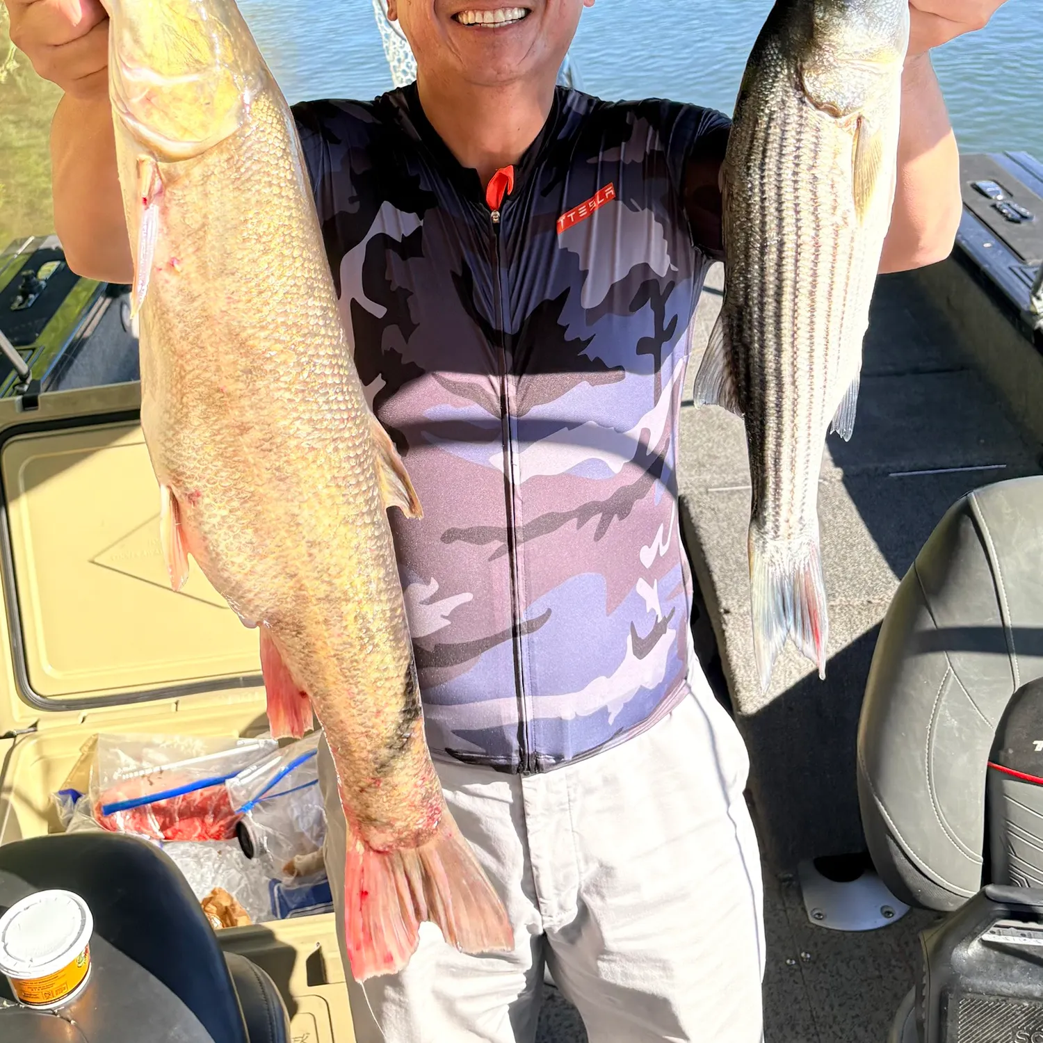 The most recent Sacramento sucker catches on Fishbrain