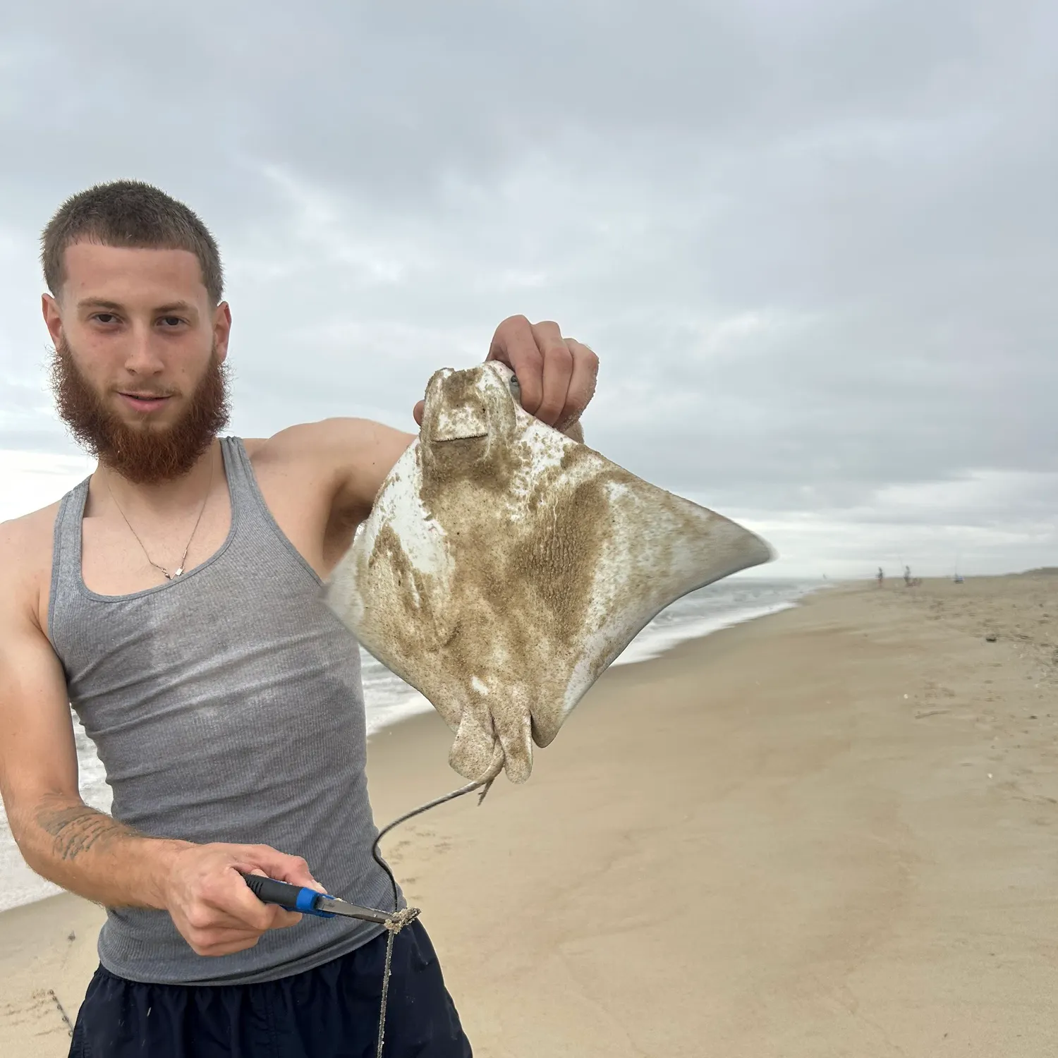 The most recent Southern stingray catches on Fishbrain