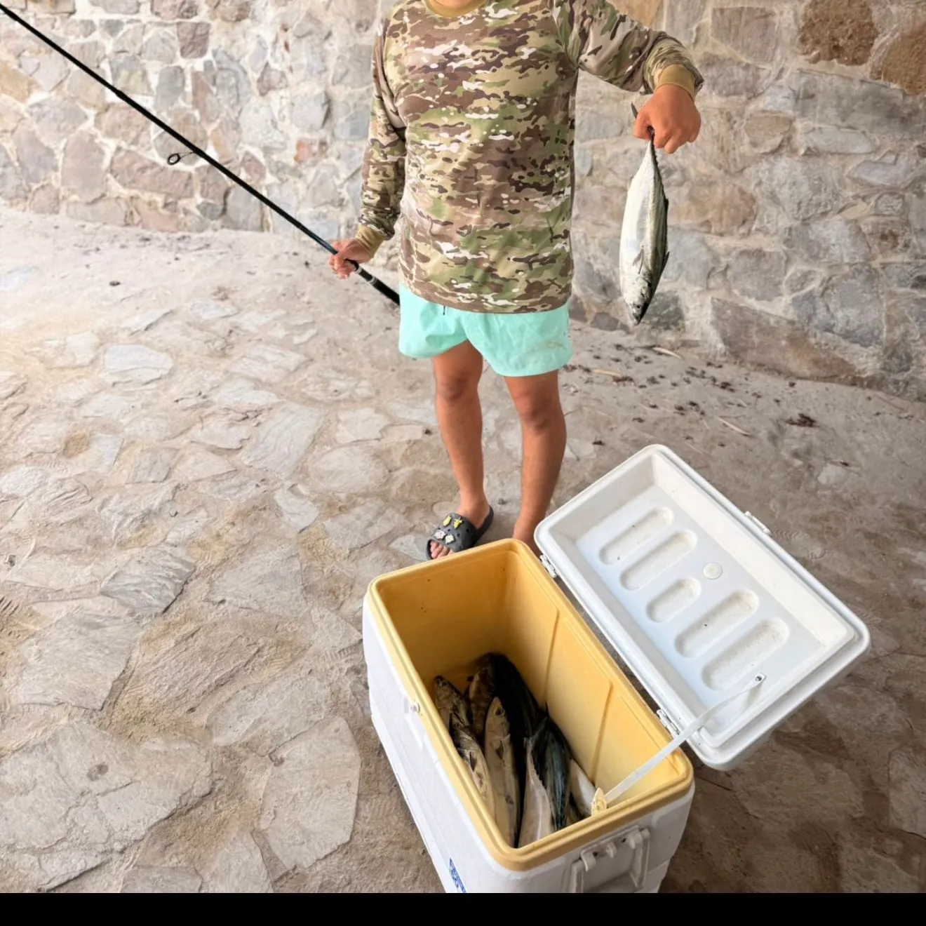 The most recent Eastern Pacific bonito catches on Fishbrain