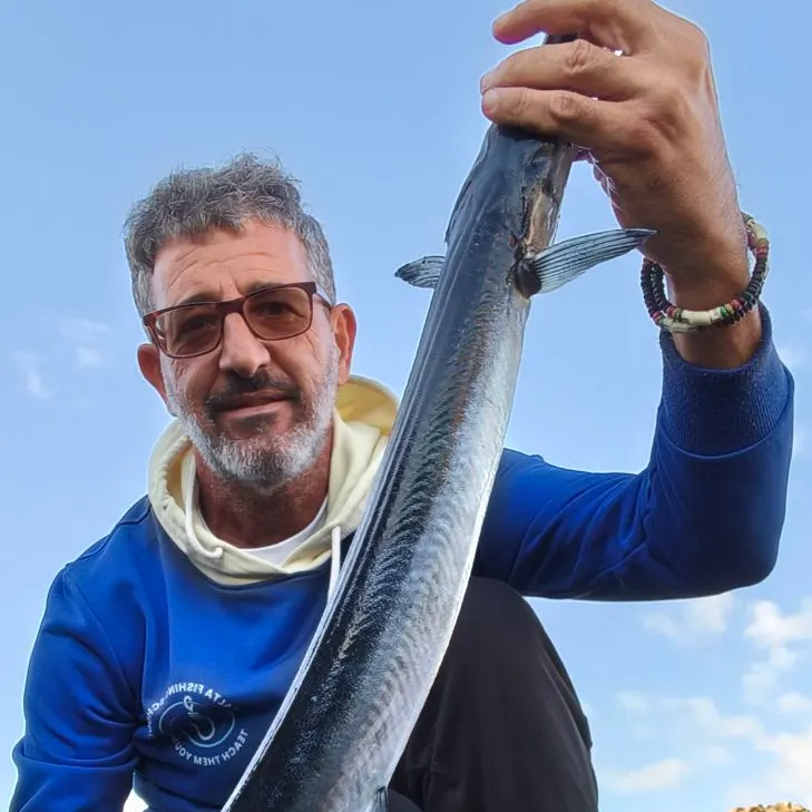 The most recent Flat needlefish catches on Fishbrain