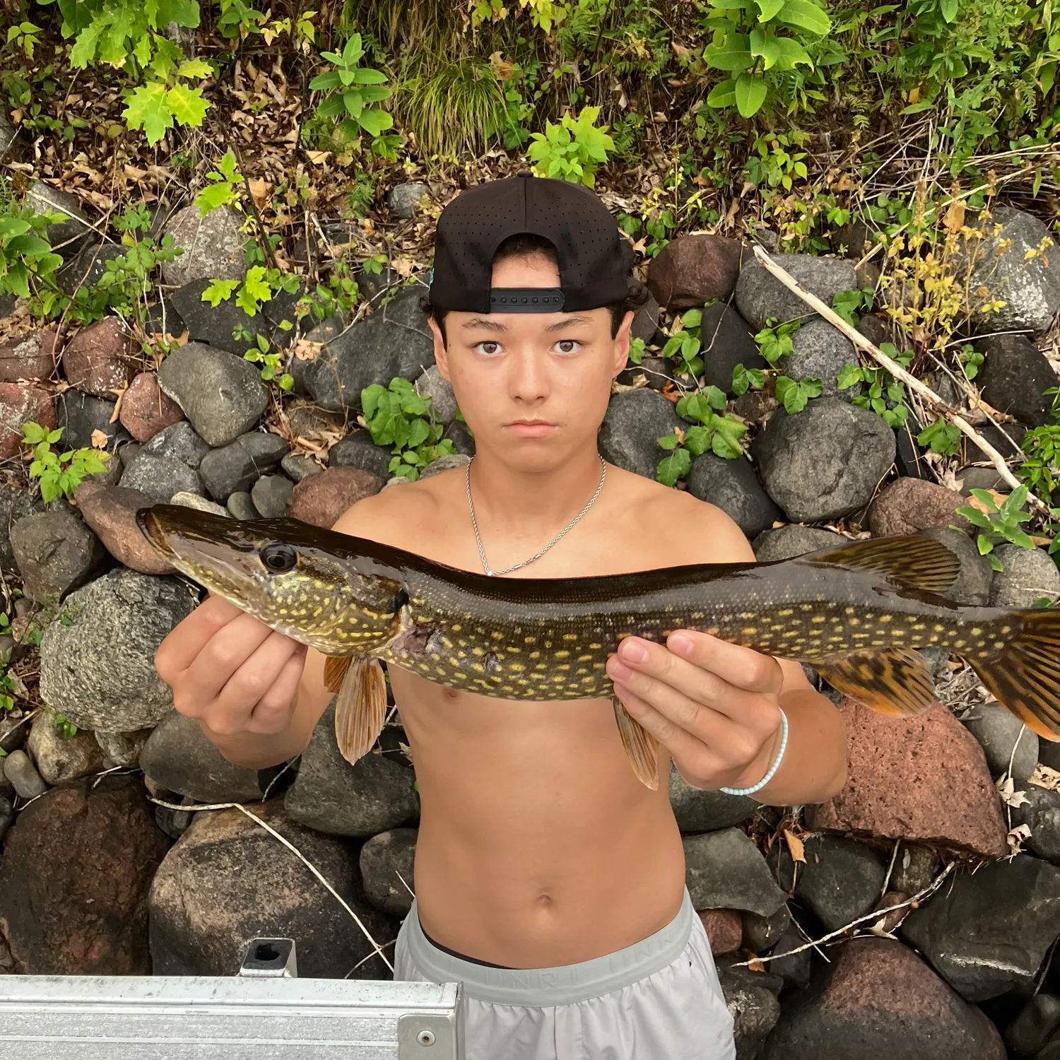 Northern pike caught on Fishbrain