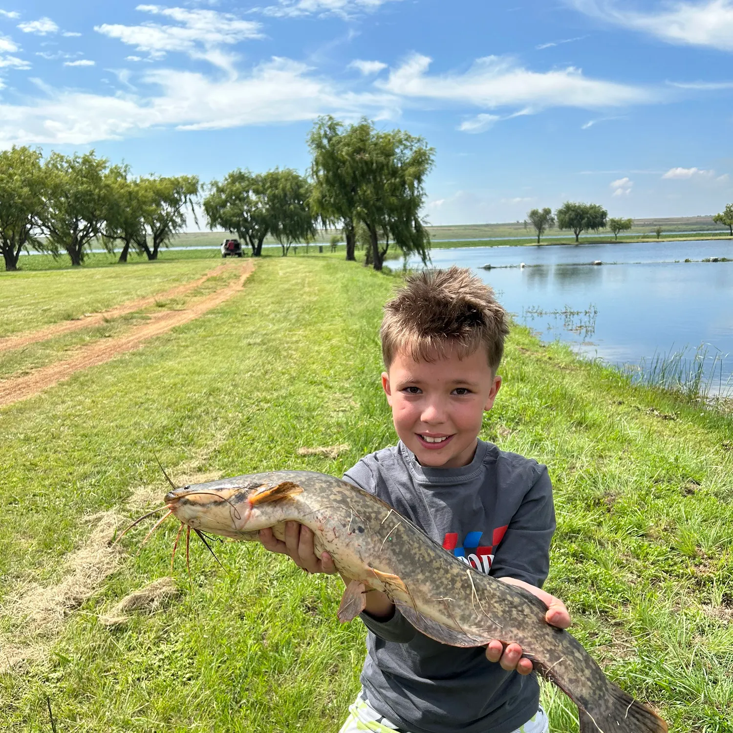 The most recent Blunt-toothed African catfish catches on Fishbrain