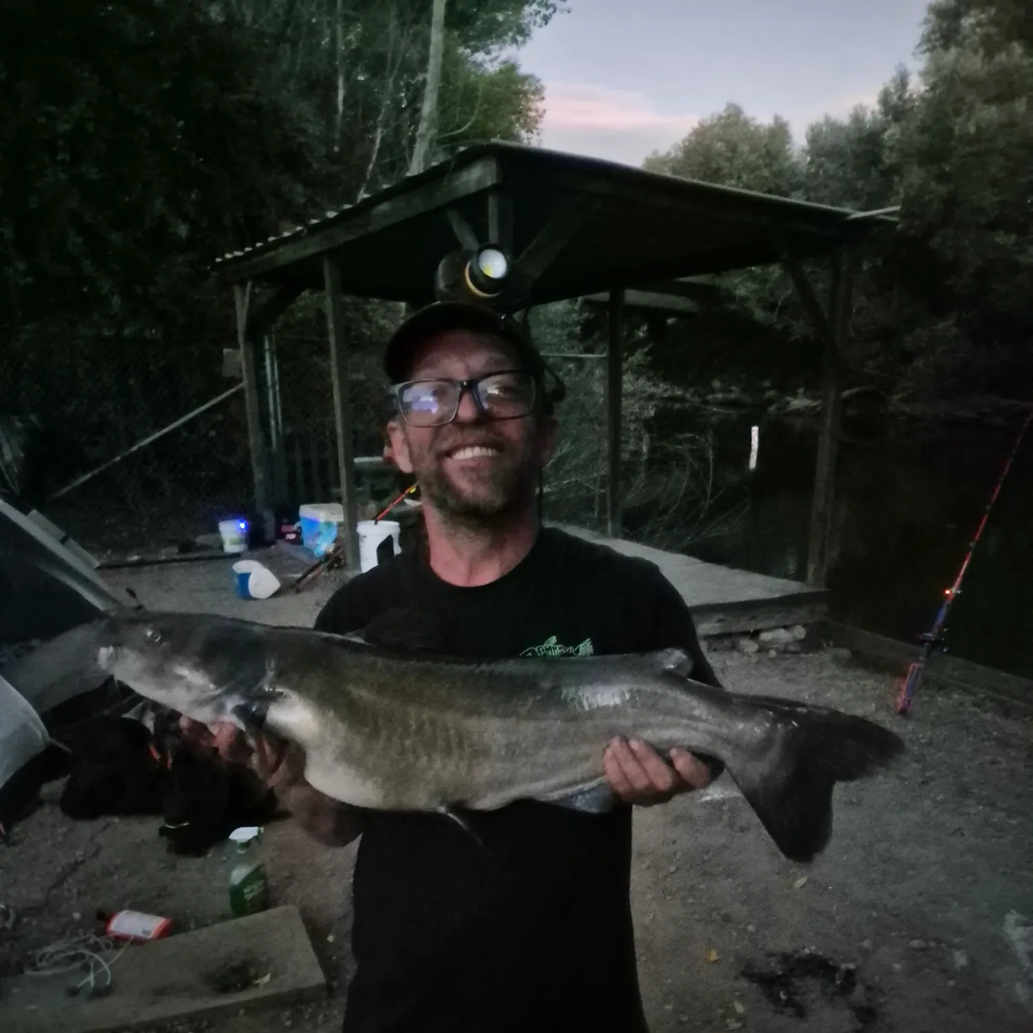 Channel catfish caught on Fishbrain