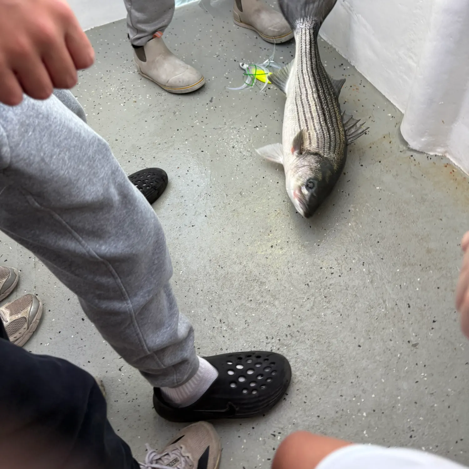 catch