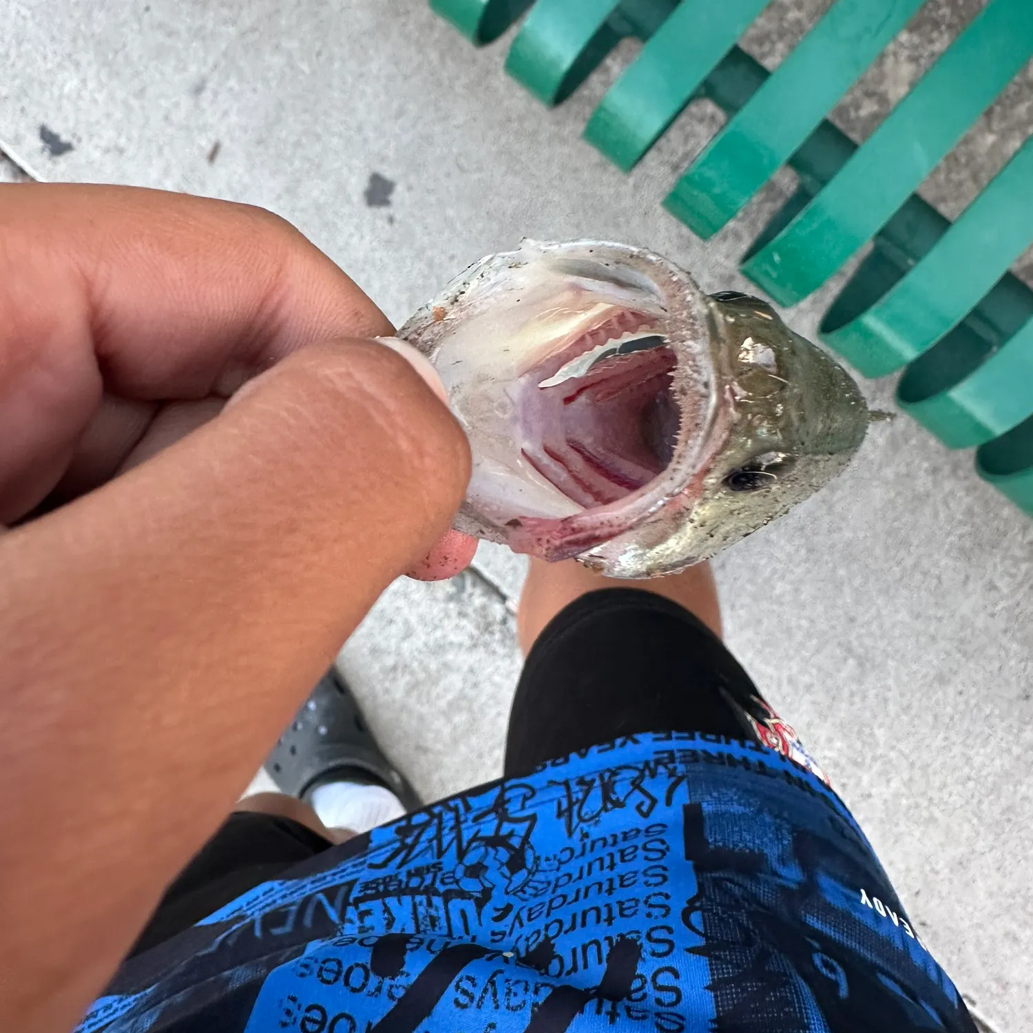 catch