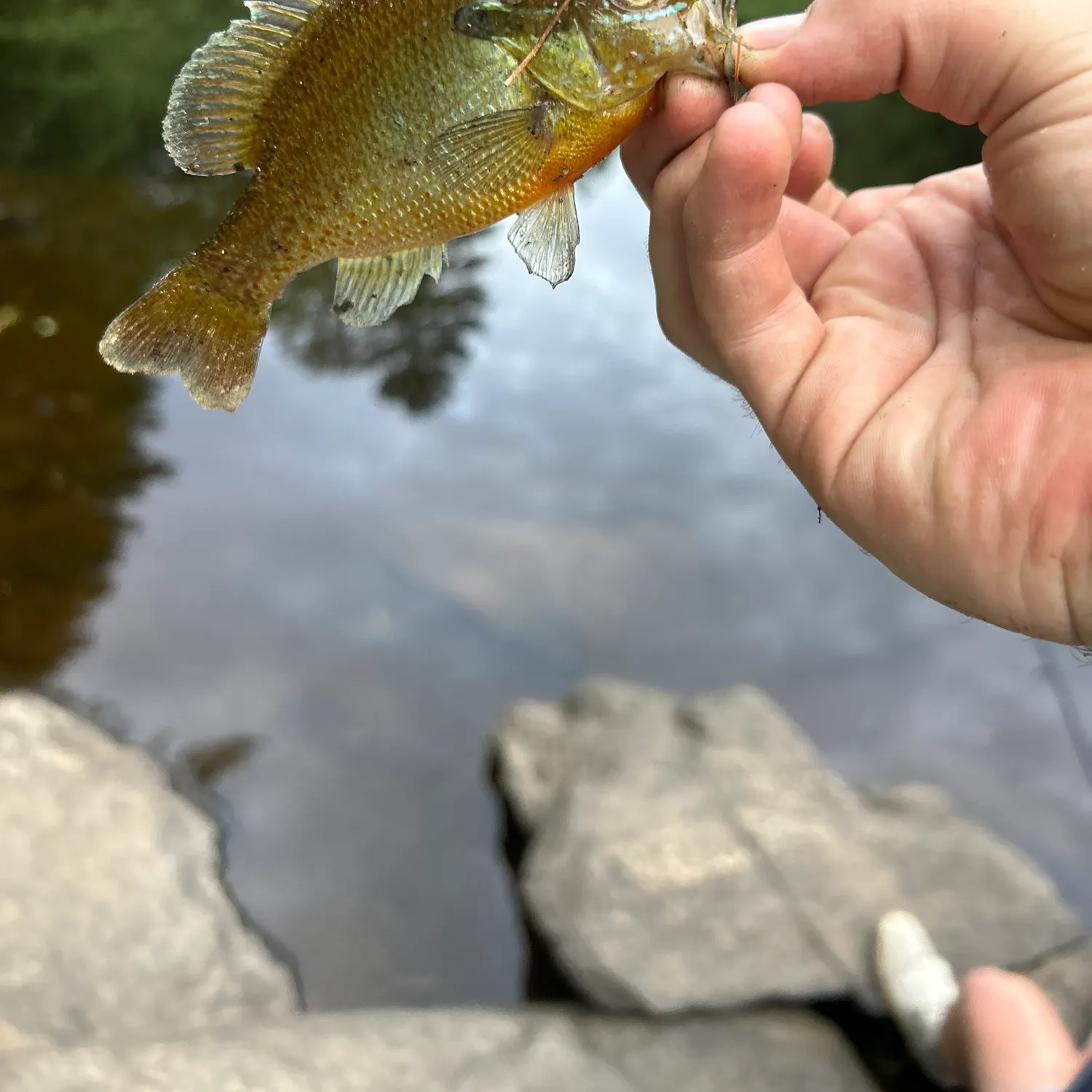 catch