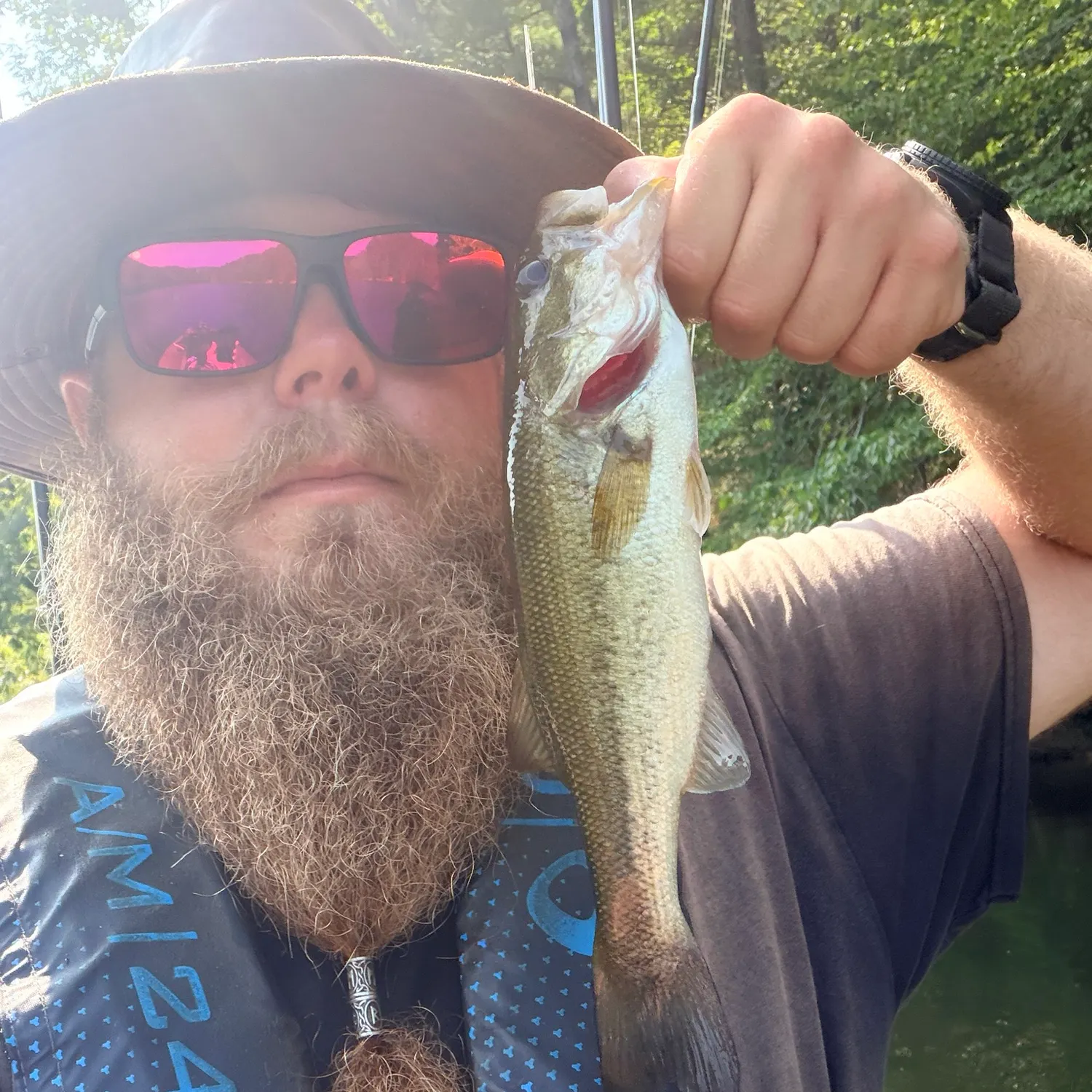 Largemouth bass caught on Fishbrain
