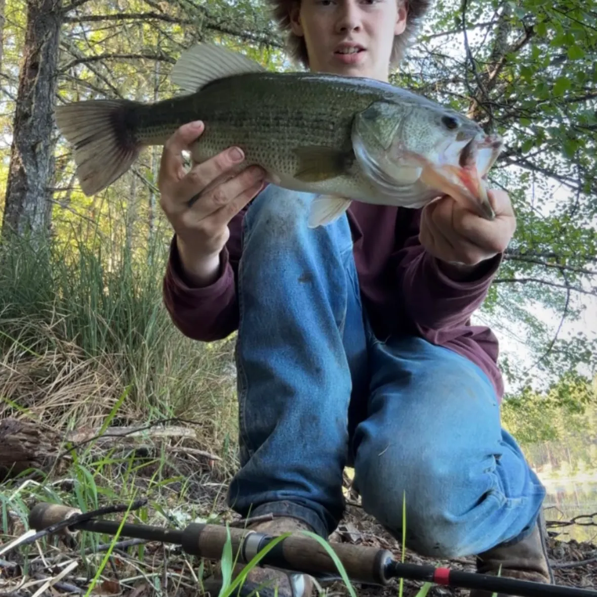 Largemouth bass caught on Fishbrain