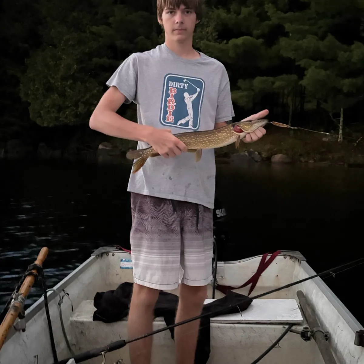 Northern pike caught on Fishbrain