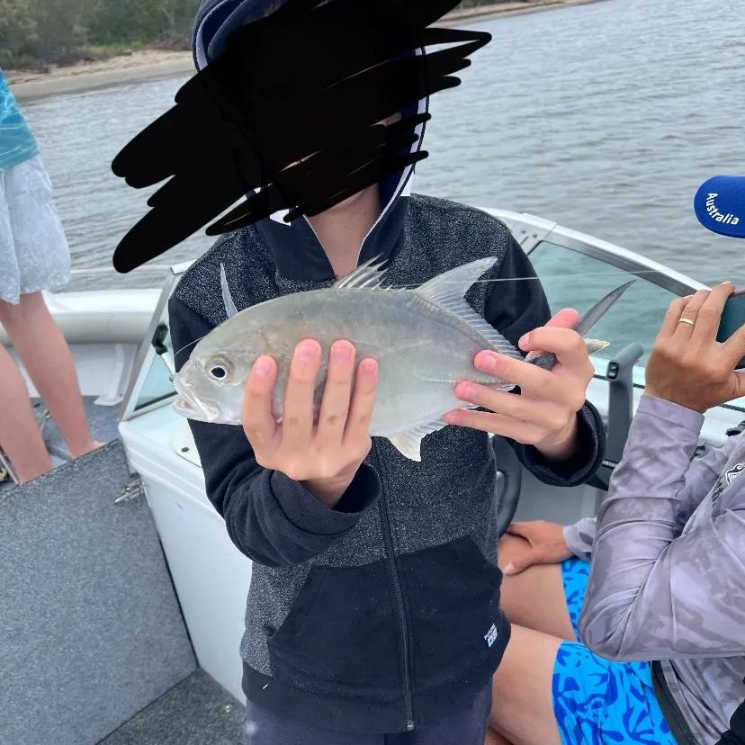 The most recent Giant trevally catches on Fishbrain