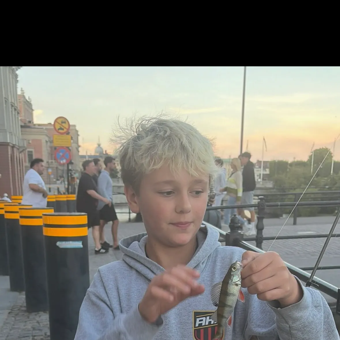 European perch caught on Fishbrain