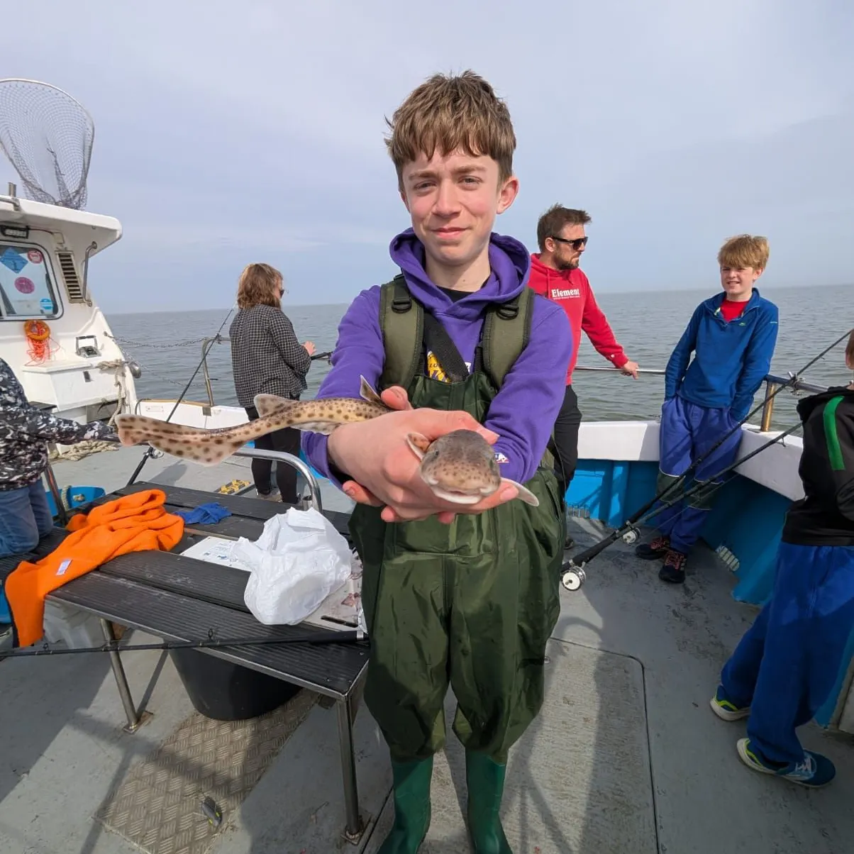The most recent Dusky smooth-hound catches on Fishbrain