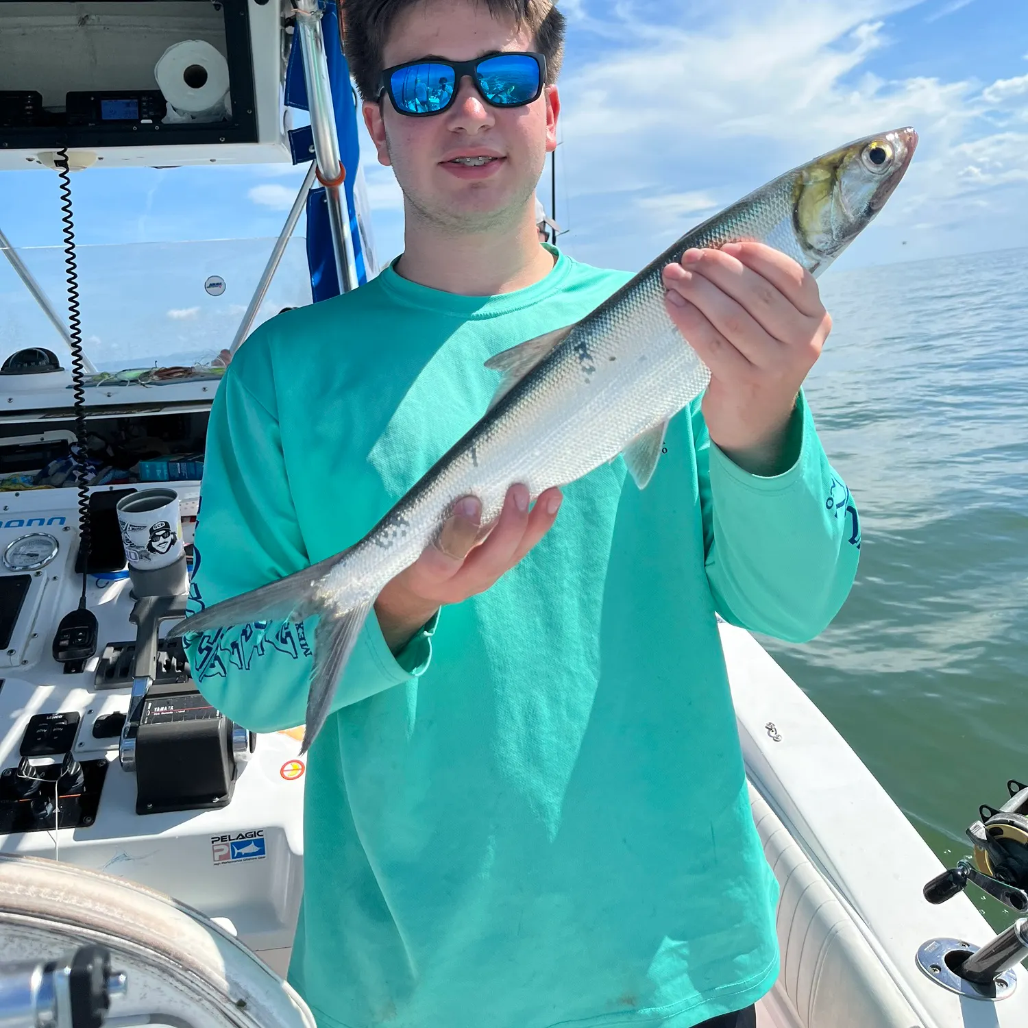 Ladyfish caught on Fishbrain