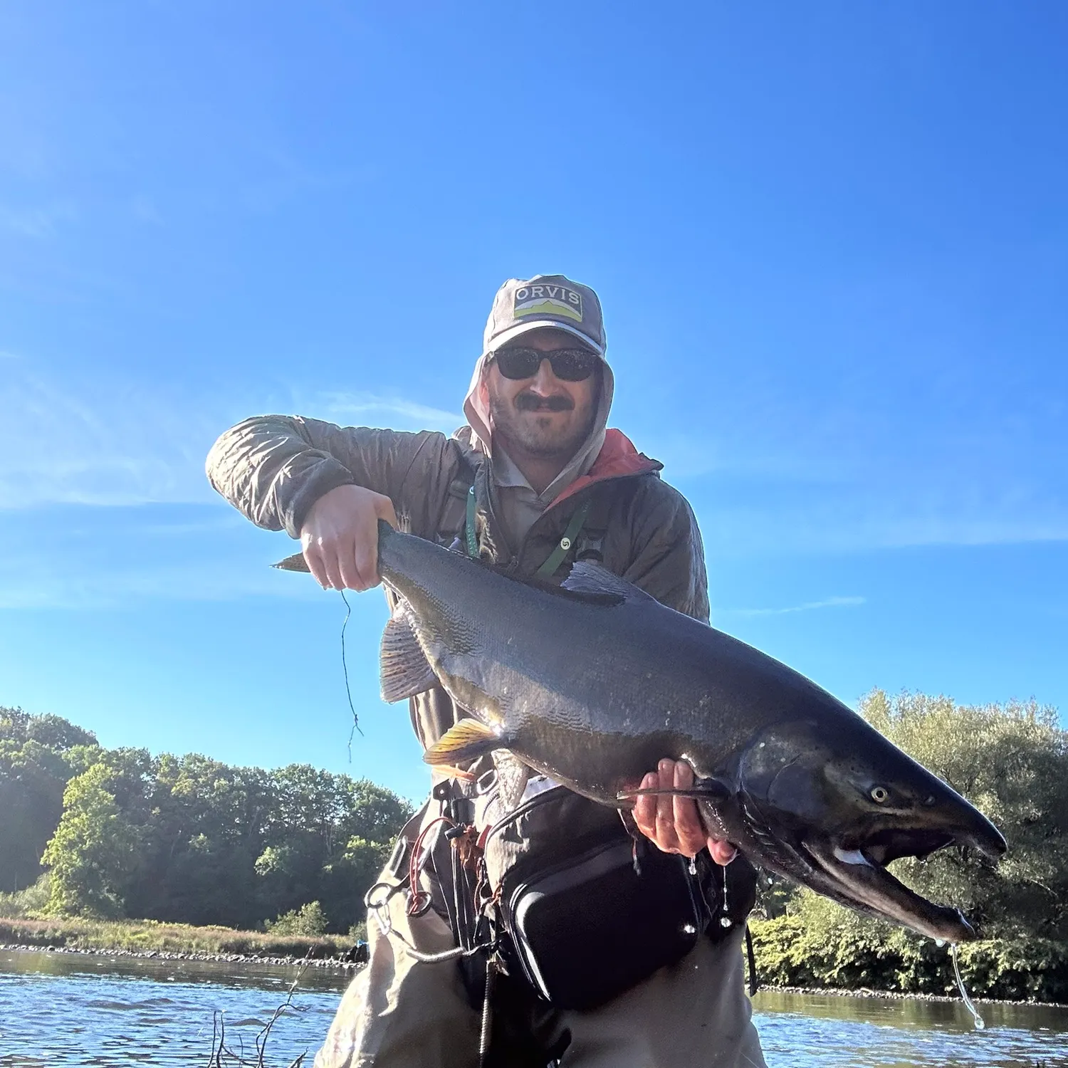 Chinook salmon caught on Fishbrain