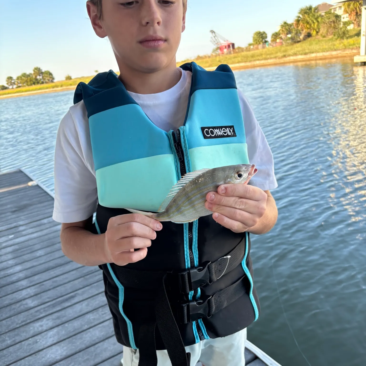 The most recent Pinfish catches on Fishbrain