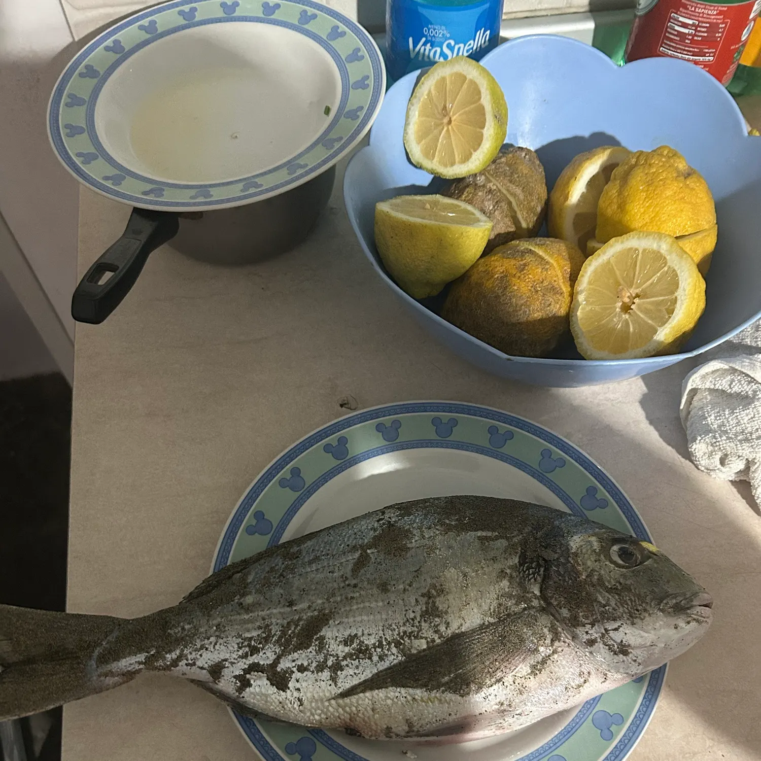 The most recent Gilthead seabream catches on Fishbrain