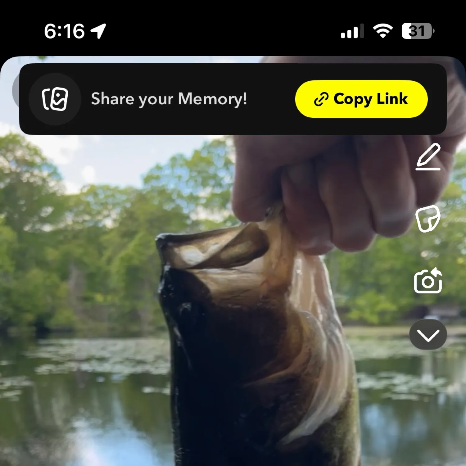 recently logged catches