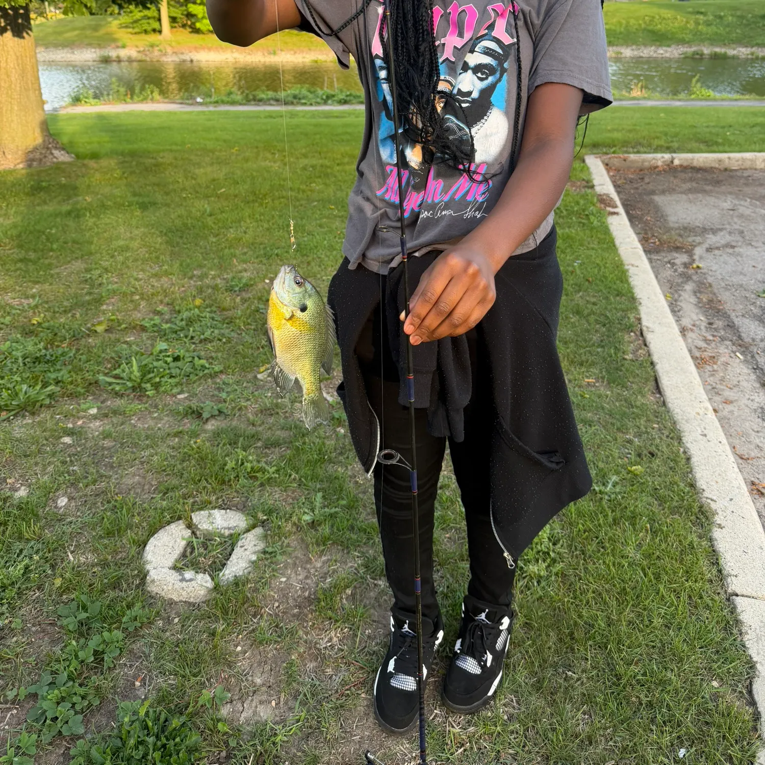 Bluegill caught on Fishbrain