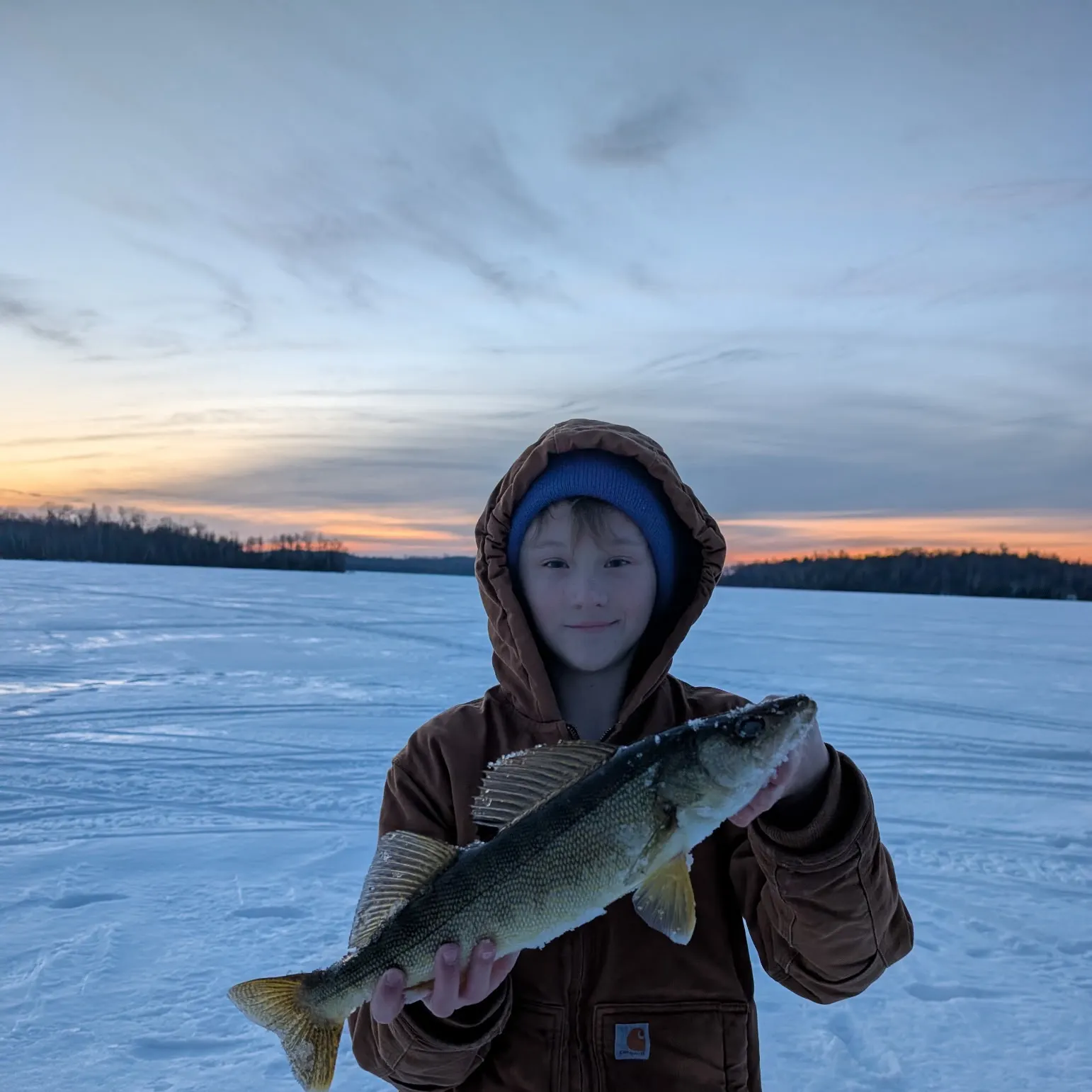 The most recent Walleye catches on Fishbrain