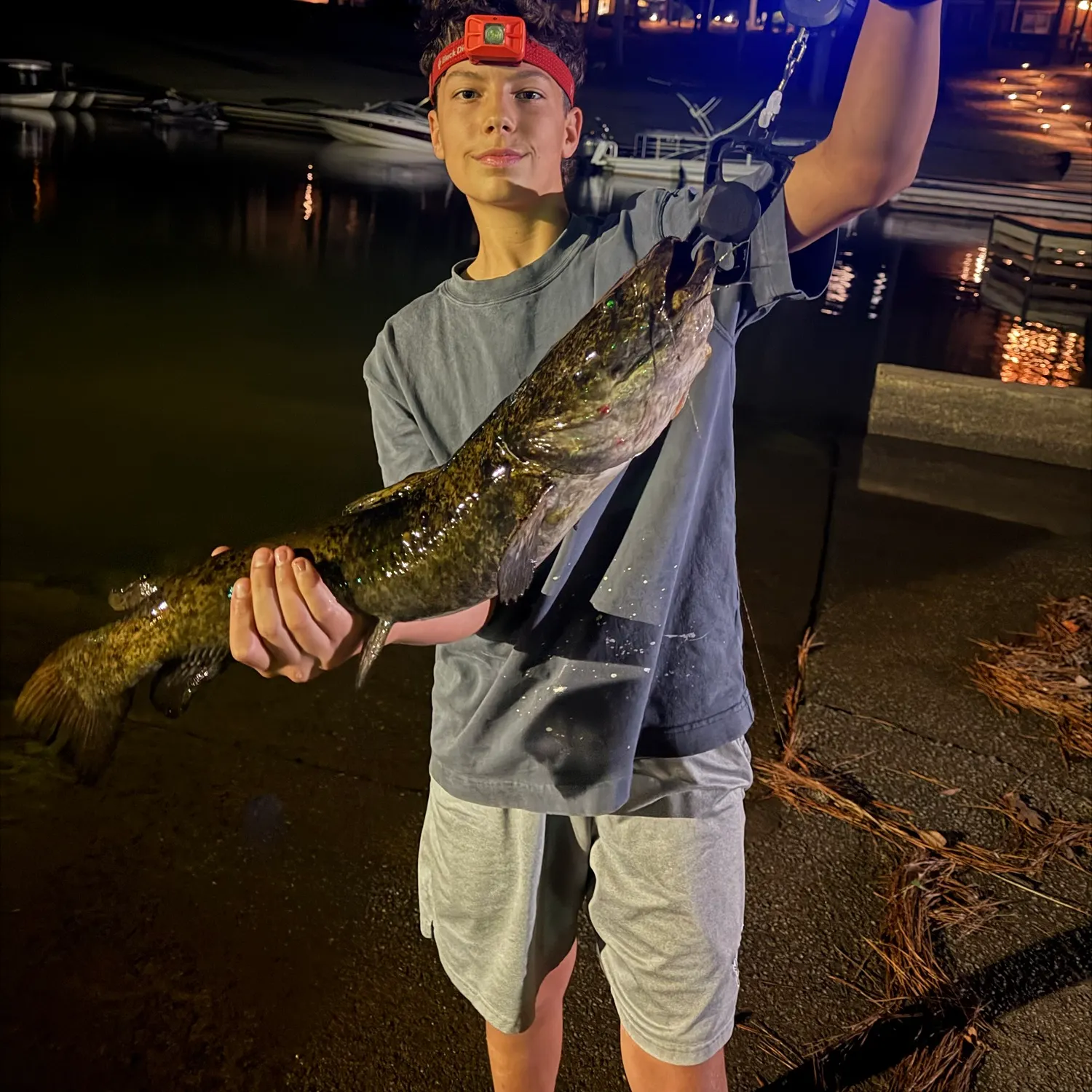 Flathead catfish caught on Fishbrain