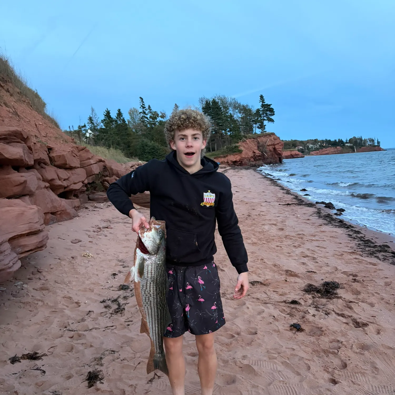 Striped bass caught on Fishbrain